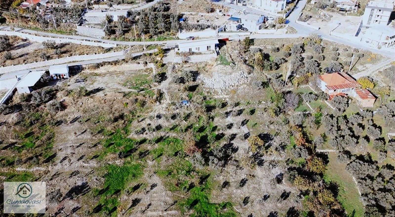Cumaovası Emlk.satılık Gaziemir Sevgi Mah.11 Dönüm Tek Tapu - Görsel 22
