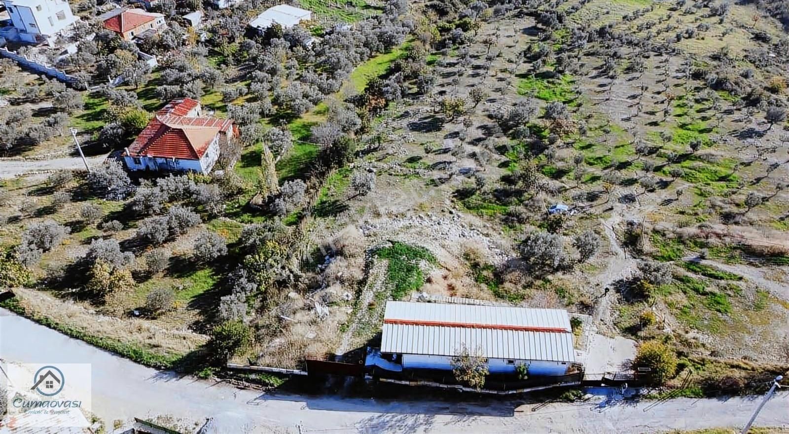 Cumaovası Emlk.satılık Gaziemir Sevgi Mah.11 Dönüm Tek Tapu - Görsel 17