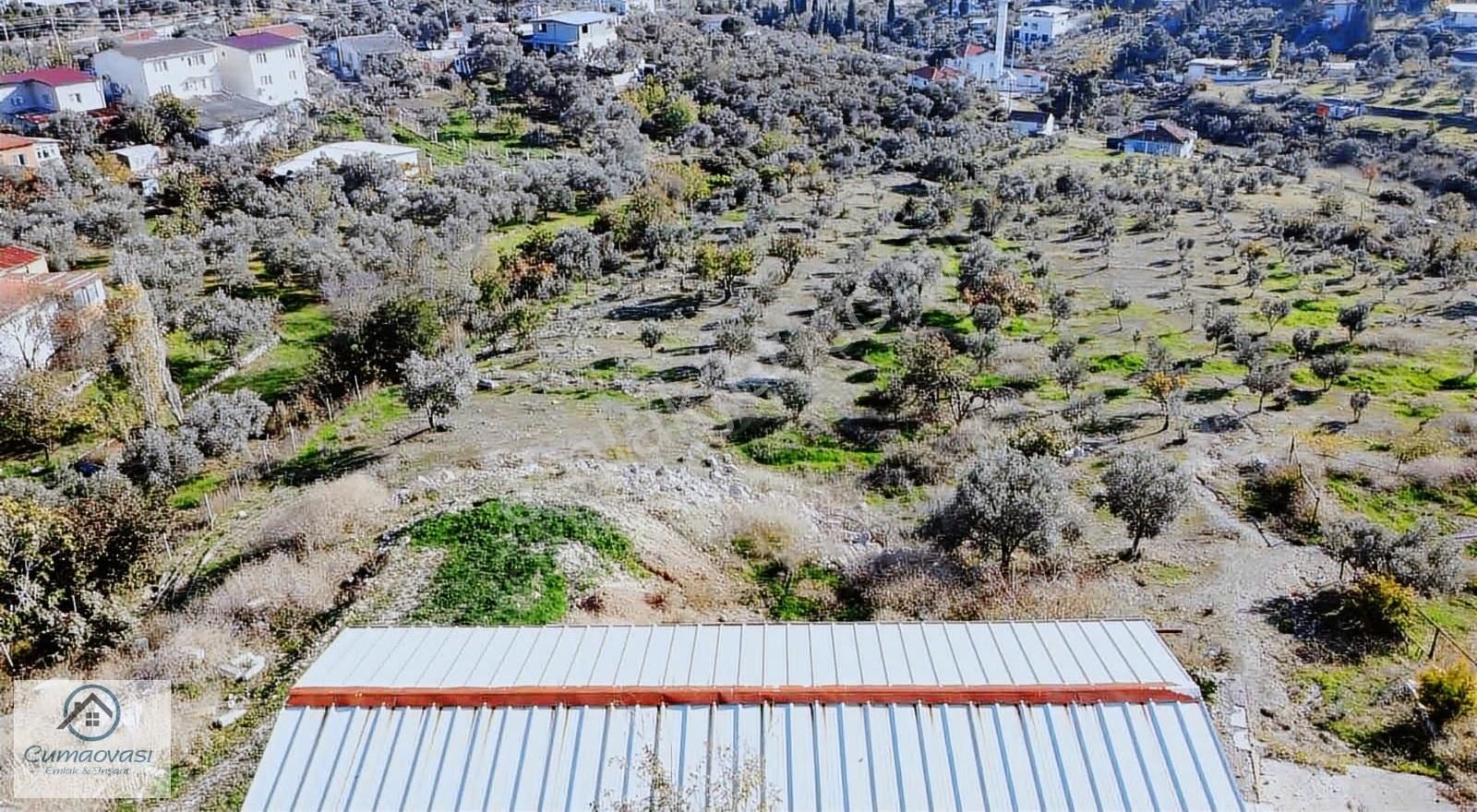 Cumaovası Emlk.satılık Gaziemir Sevgi Mah.11 Dönüm Tek Tapu - Görsel 26
