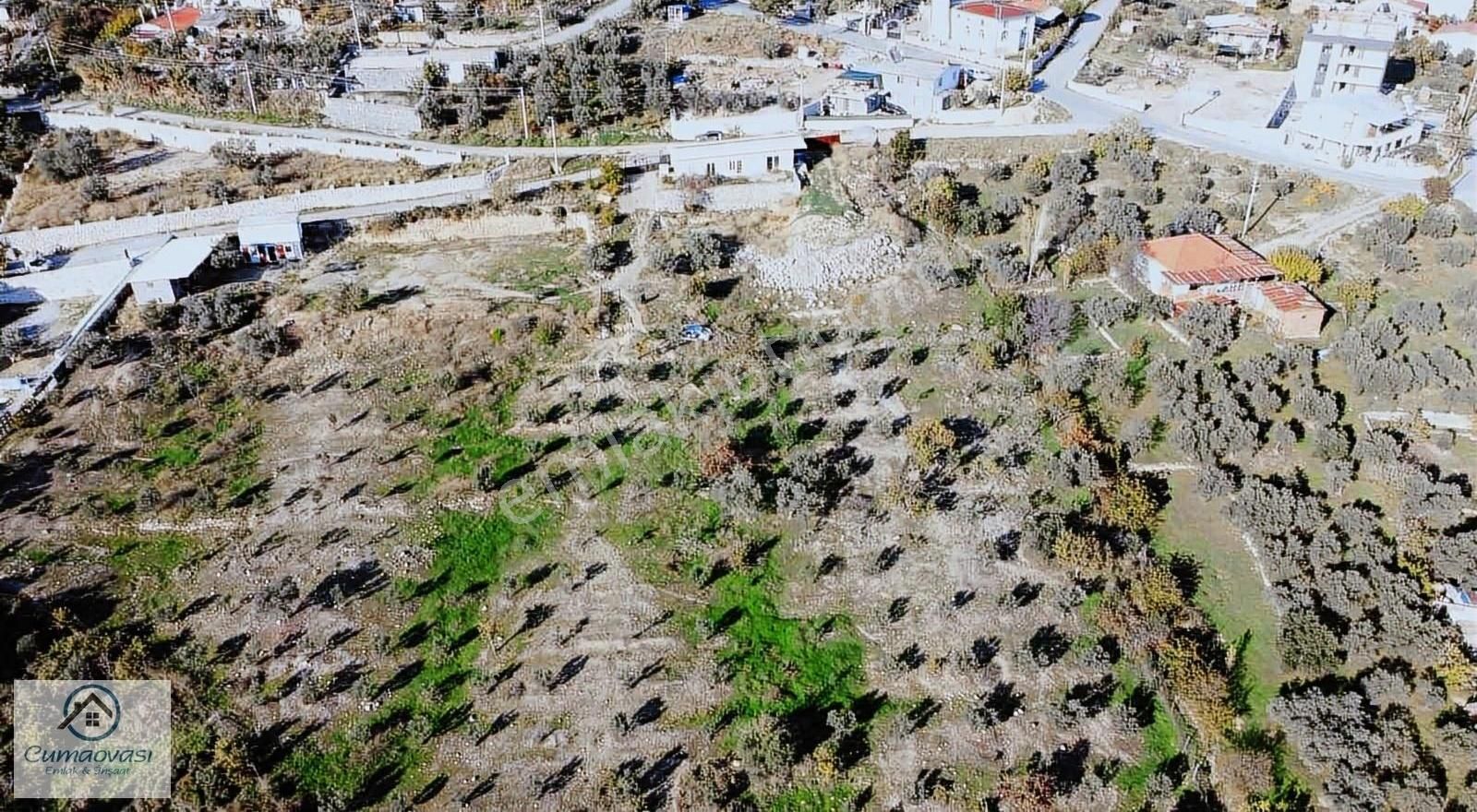 Cumaovası Emlk.satılık Gaziemir Sevgi Mah.11 Dönüm Tek Tapu - Görsel 12