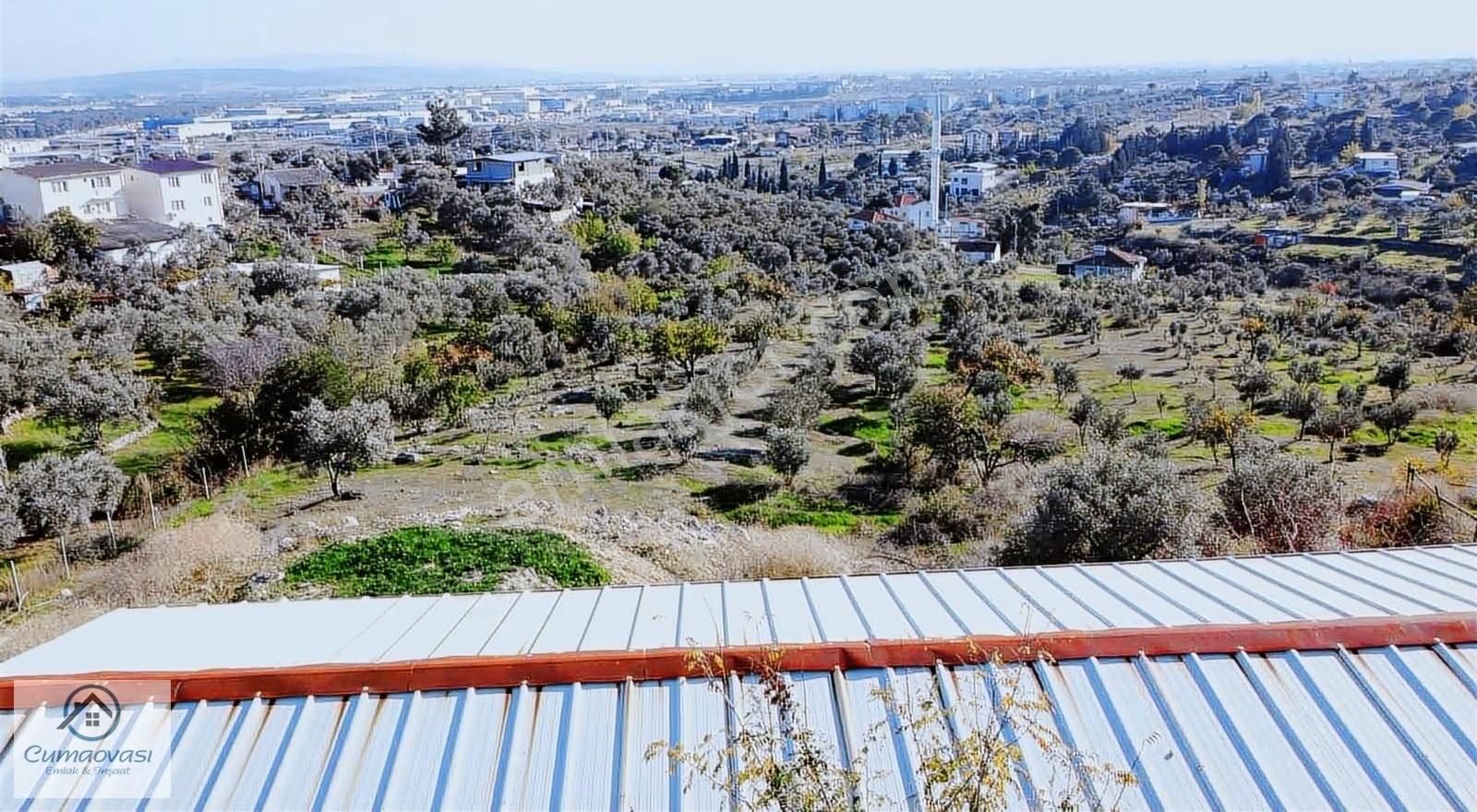Cumaovası Emlk.satılık Gaziemir Sevgi Mah.11 Dönüm Tek Tapu - Görsel 32