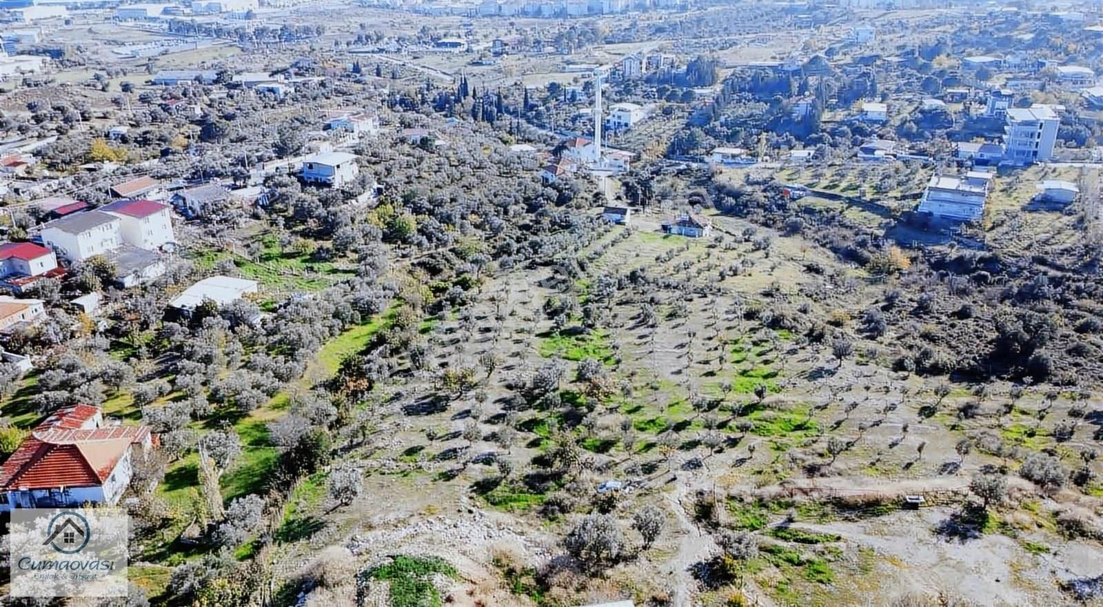 Cumaovası Emlk.satılık Gaziemir Sevgi Mah.11 Dönüm Tek Tapu - Görsel 25
