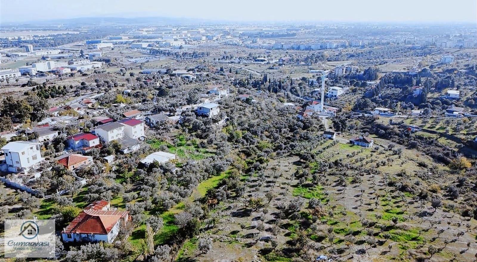 Cumaovası Emlk.satılık Gaziemir Sevgi Mah.11 Dönüm Tek Tapu - Görsel 14