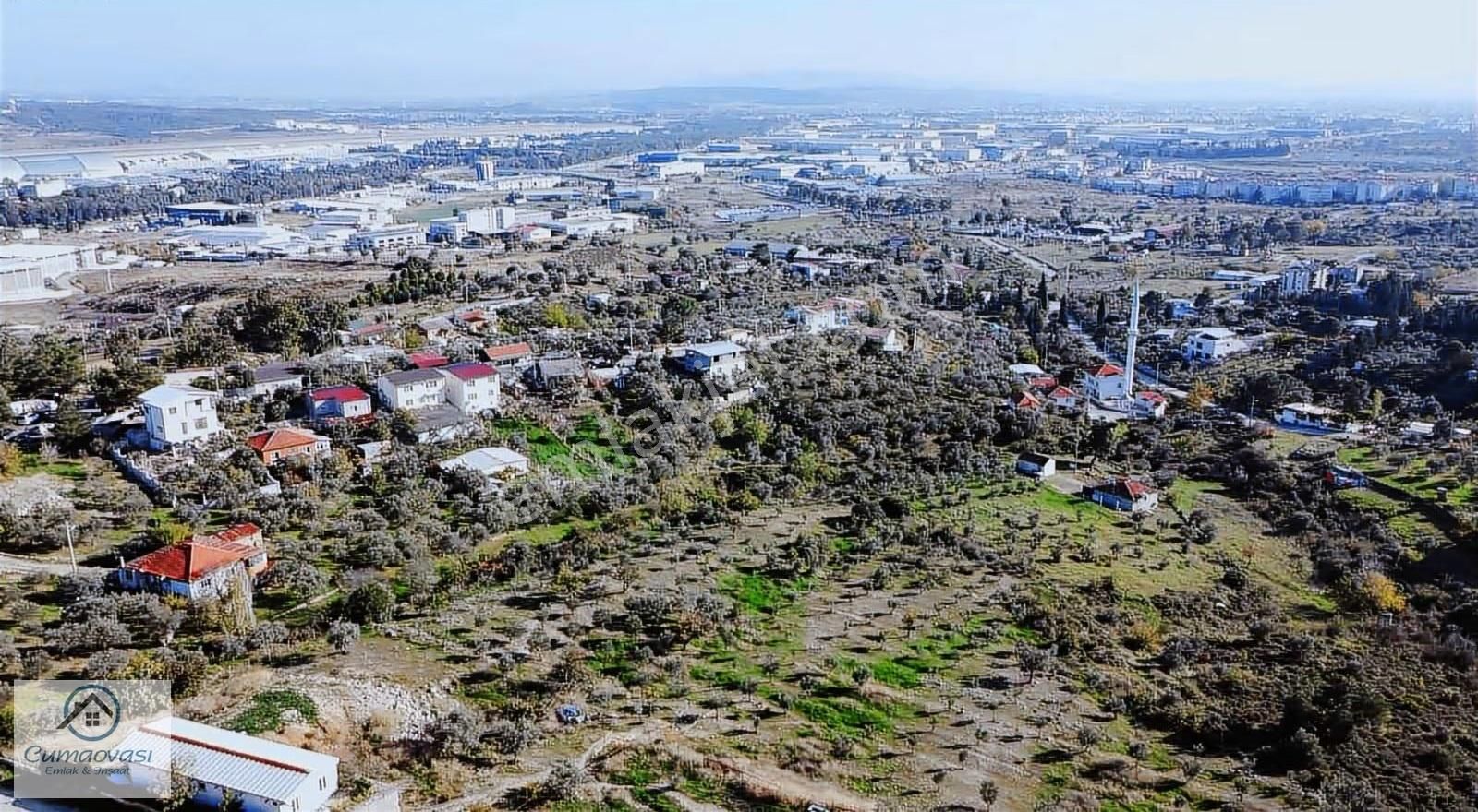 Cumaovası Emlk.satılık Gaziemir Sevgi Mah.11 Dönüm Tek Tapu - Görsel 24