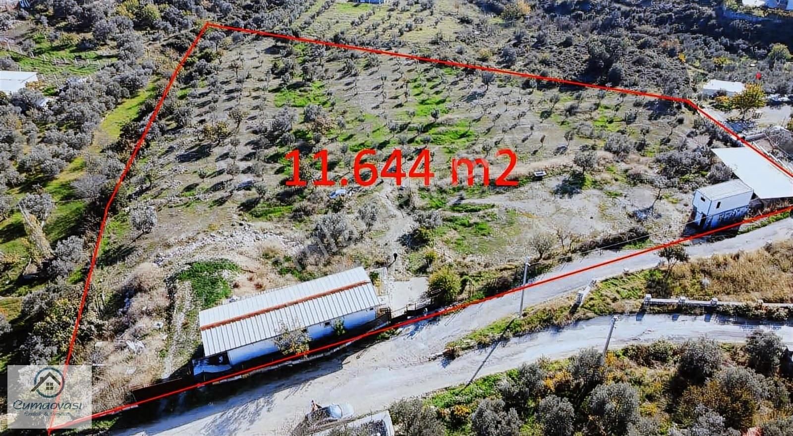 Cumaovası Emlk.satılık Gaziemir Sevgi Mah.11 Dönüm Tek Tapu - Görsel 10