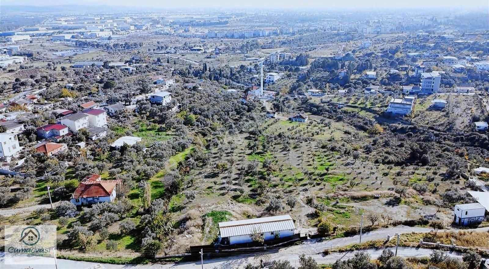 Cumaovası Emlk.satılık Gaziemir Sevgi Mah.11 Dönüm Tek Tapu - Görsel 31