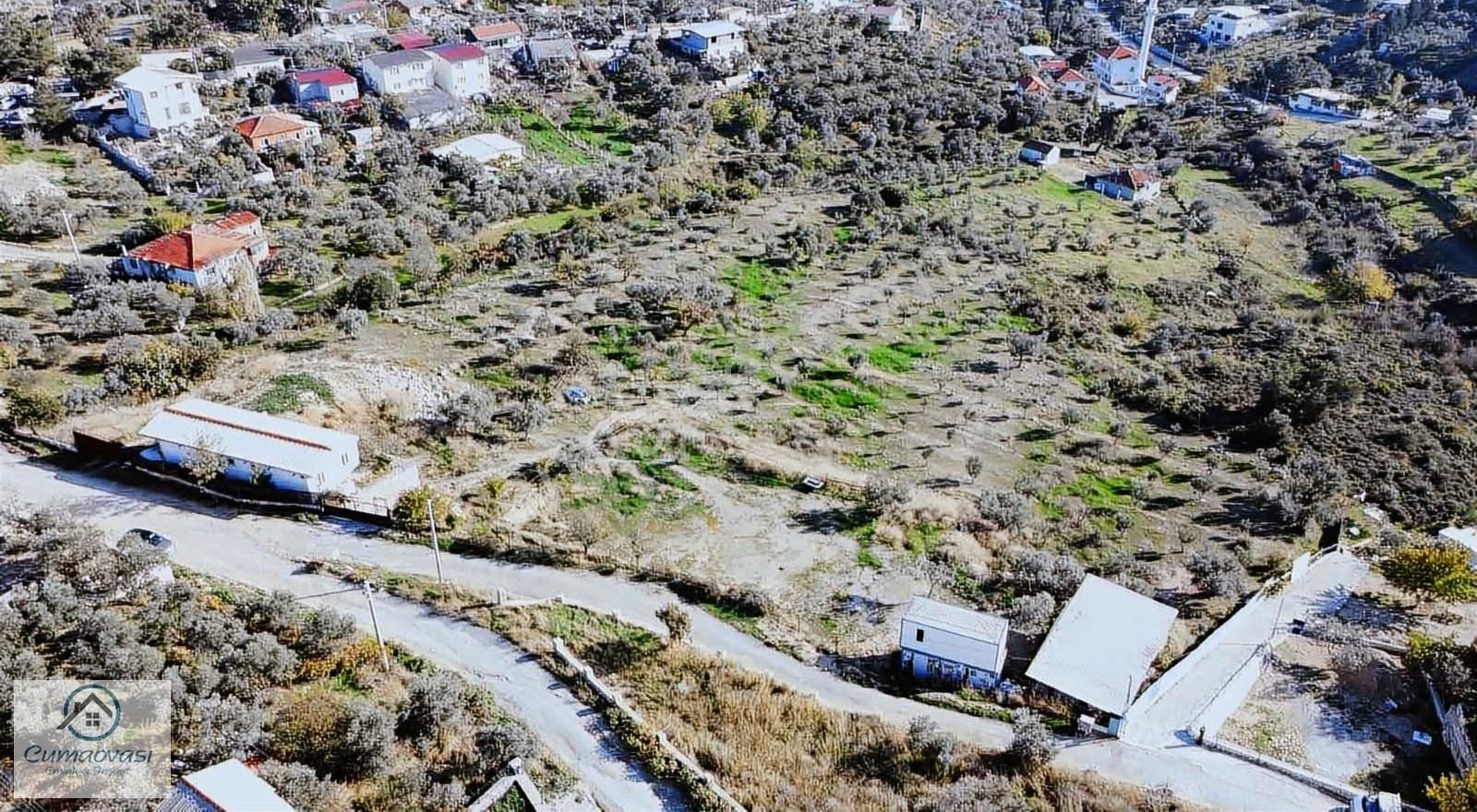 Cumaovası Emlk.satılık Gaziemir Sevgi Mah.11 Dönüm Tek Tapu - Görsel 30