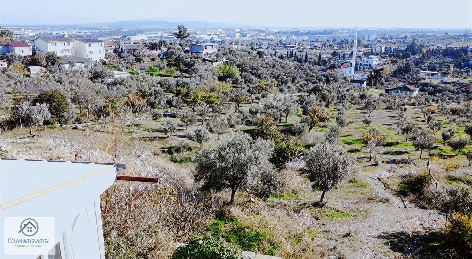 Cumaovası Emlk.satılık Gaziemir Sevgi Mah.11 Dönüm Tek Tapu - Görsel 19