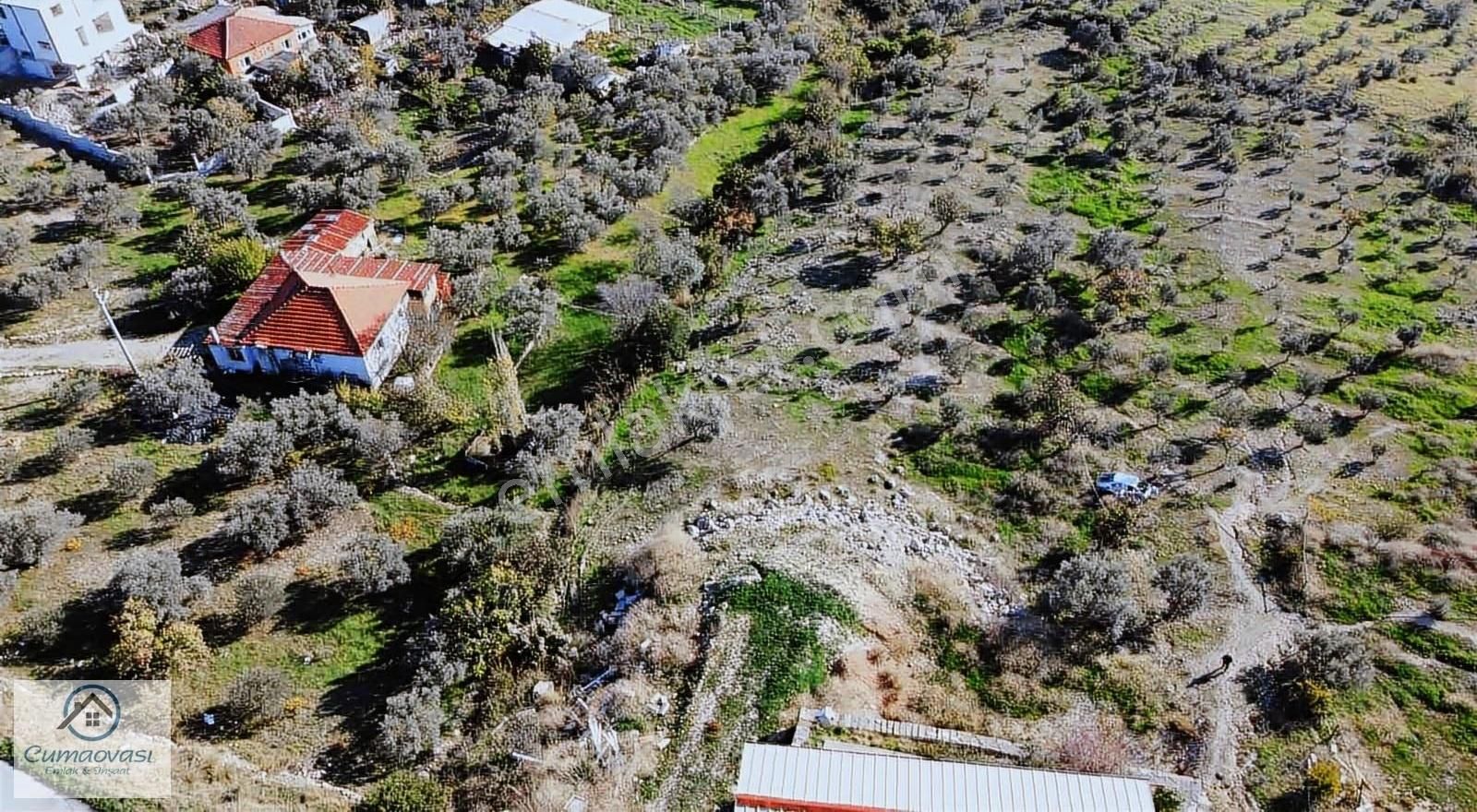 Cumaovası Emlk.satılık Gaziemir Sevgi Mah.11 Dönüm Tek Tapu - Görsel 23