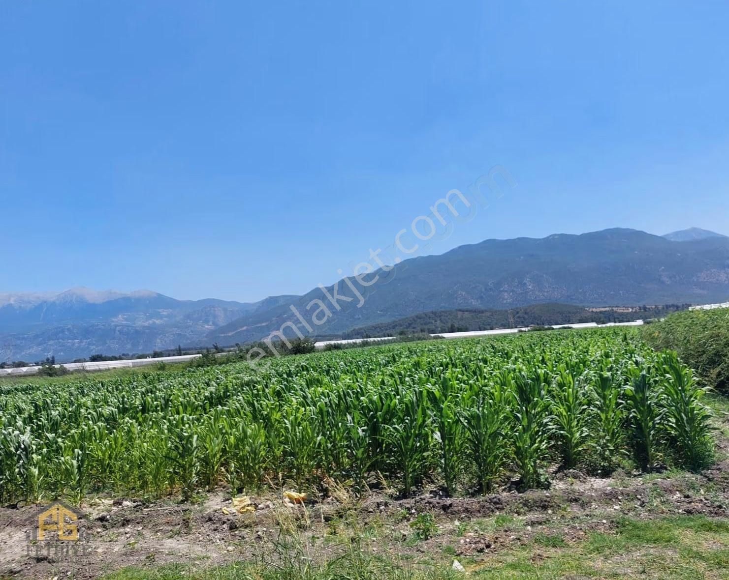 Fethiye Gayrimenkulden Demirler Satılık 16.844mt2 Tarla