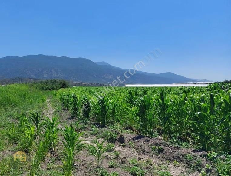Fethiye Gayrimenkulden Demirler Satılık 16.844mt2 Tarla - Görsel 5