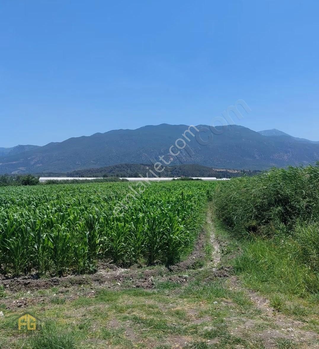 Fethiye Gayrimenkulden Demirler Satılık 16.844mt2 Tarla - Görsel 6