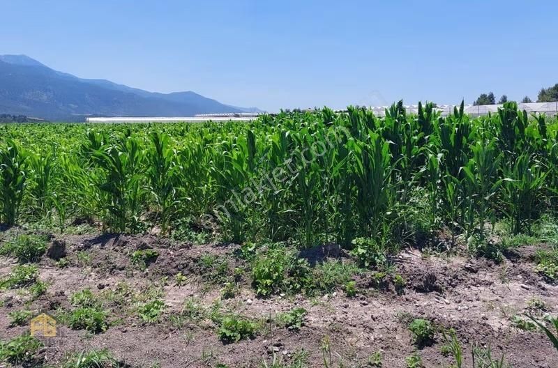 Fethiye Gayrimenkulden Demirler Satılık 16.844mt2 Tarla - Görsel 3