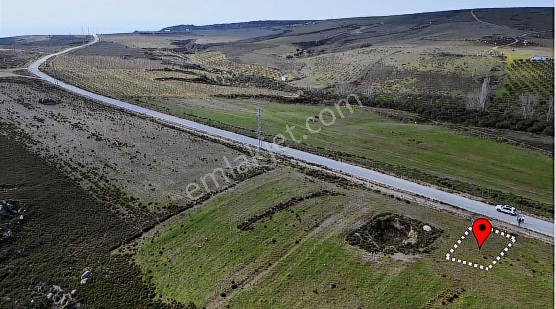 Avşa'da Asfalta Cephe Muhteşem Arazi - Görsel 3