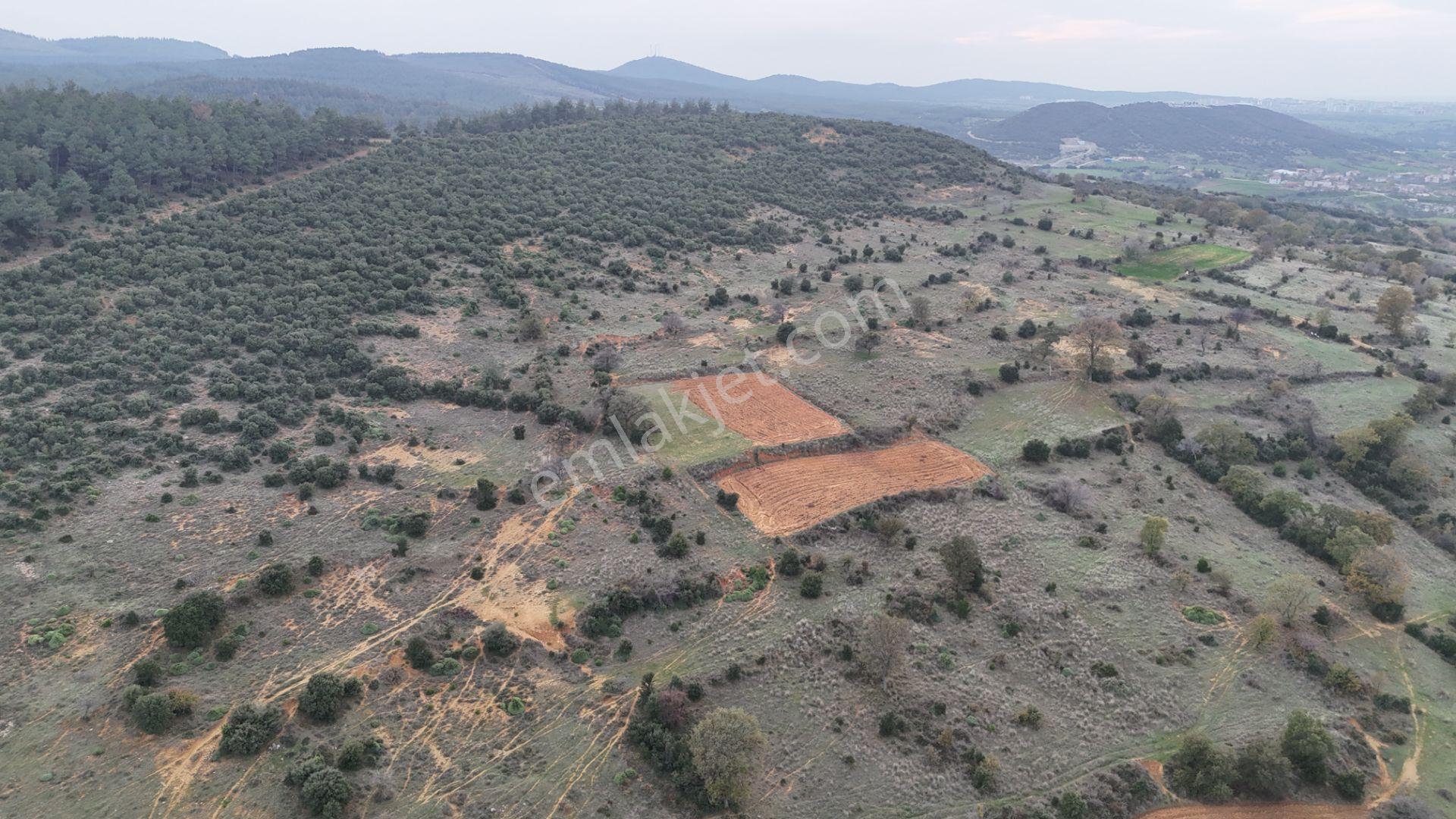 Ege Emlak'tan Yenimuhacir Köyünde Satılık 1.796 M2 Bağ Yeri - Görsel 14
