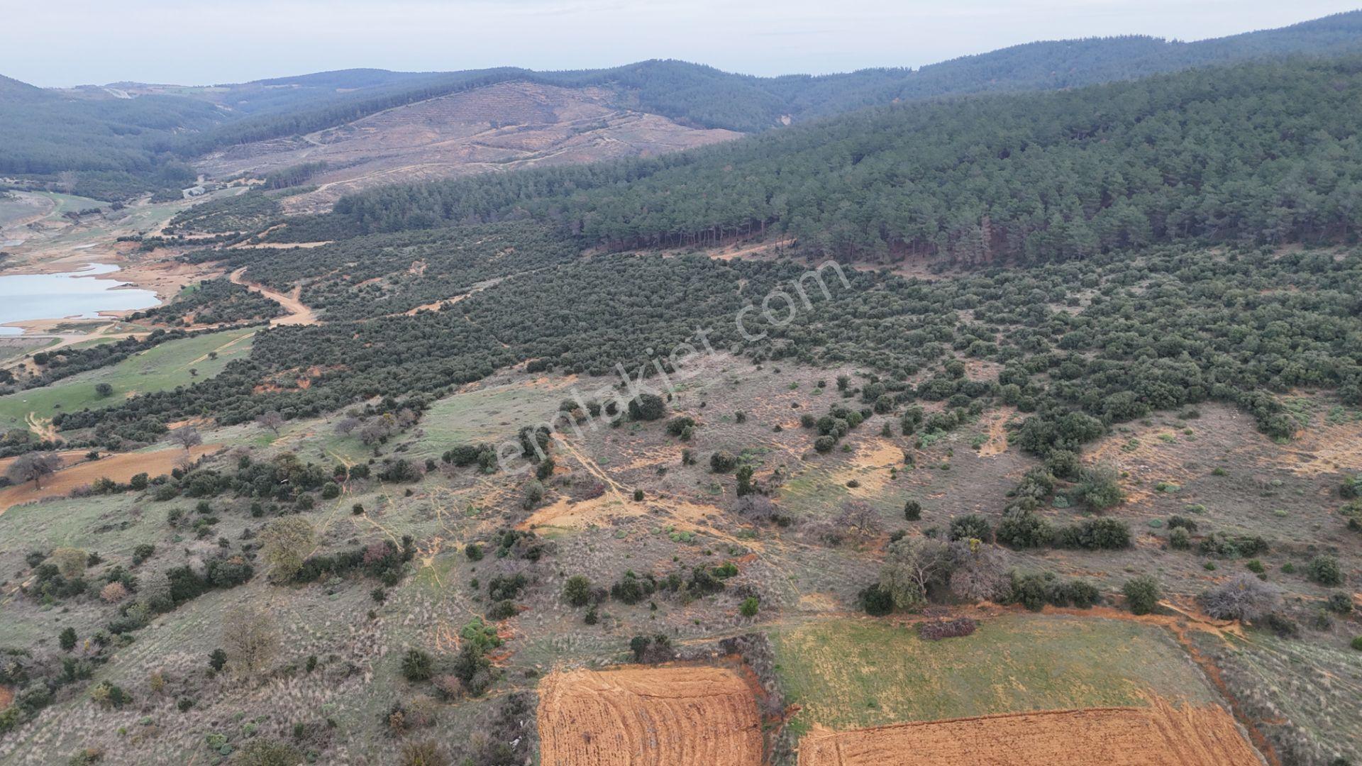 Ege Emlak'tan Yenimuhacir Köyünde Satılık 1.796 M2 Bağ Yeri - Görsel 6