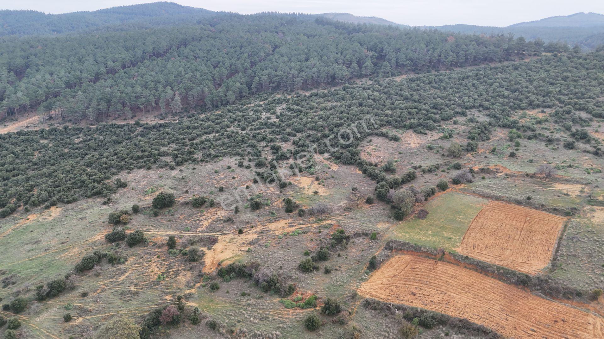 Ege Emlak'tan Yenimuhacir Köyünde Satılık 1.796 M2 Bağ Yeri - Görsel 4