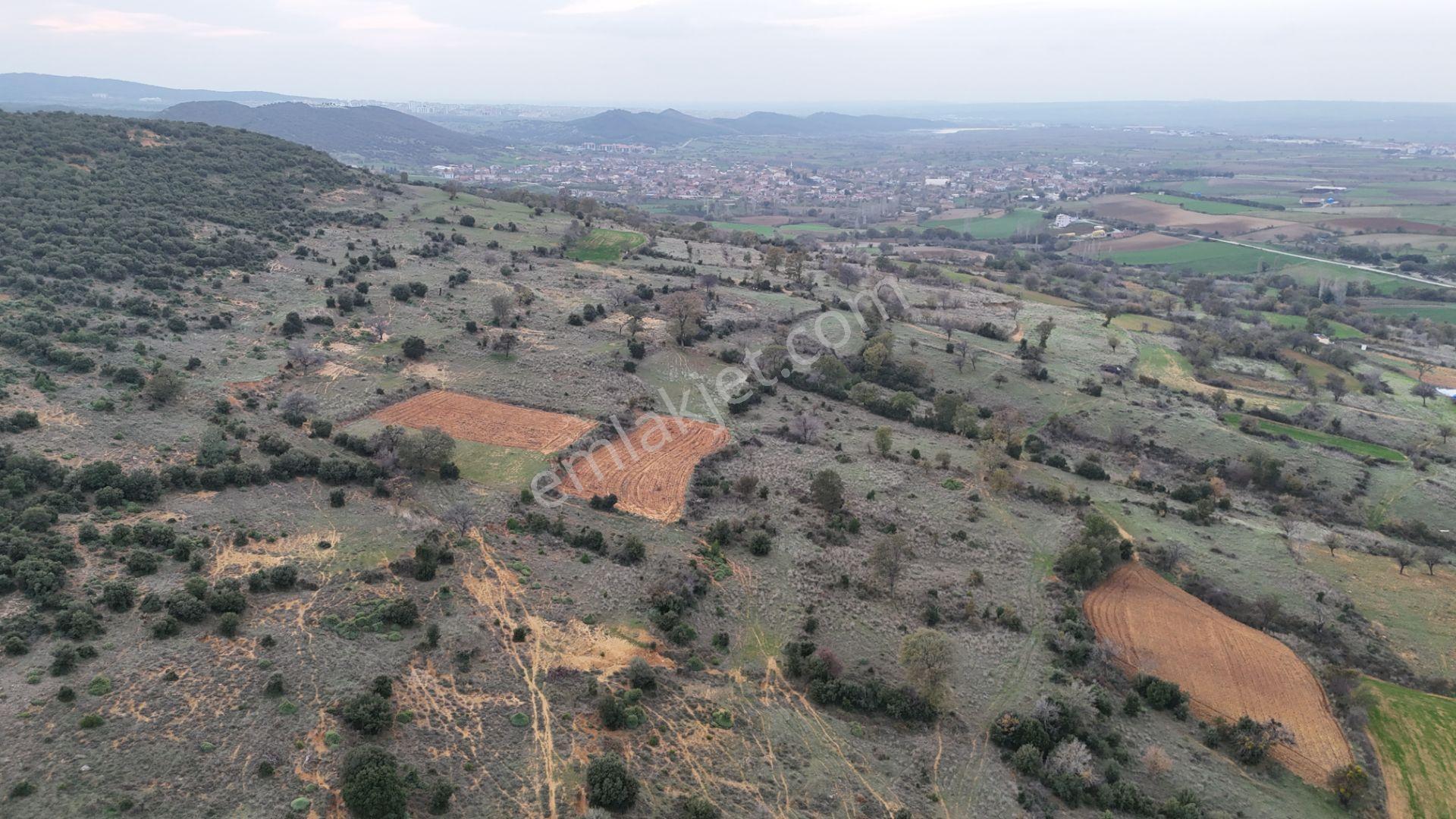 Ege Emlak'tan Yenimuhacir Köyünde Satılık 1.796 M2 Bağ Yeri - Görsel 12