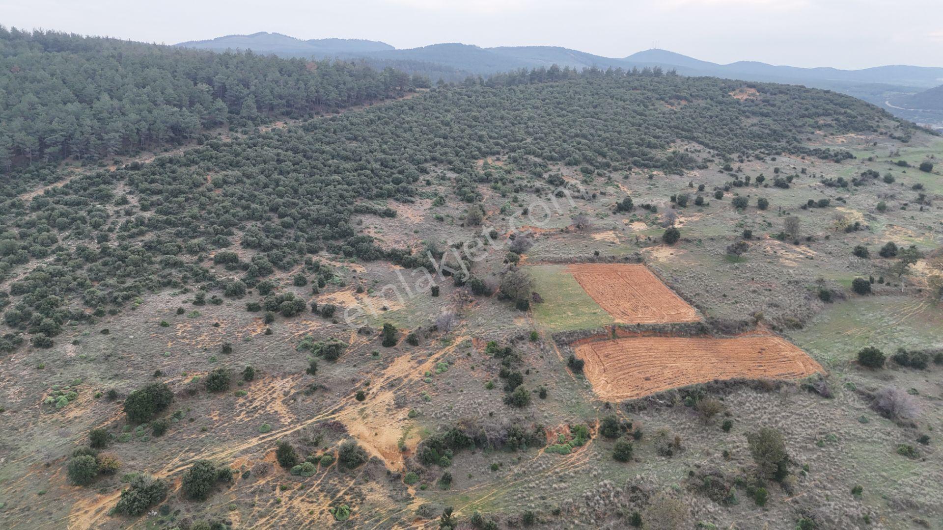 Ege Emlak'tan Yenimuhacir Köyünde Satılık 1.796 M2 Bağ Yeri - Görsel 2
