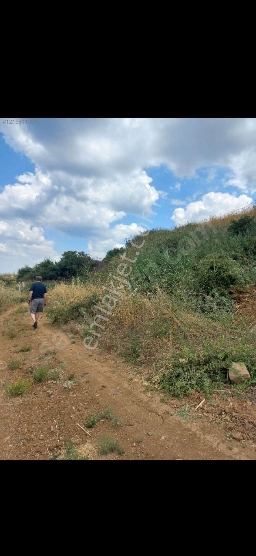 Gelibolu Bolayır - Görsel 3