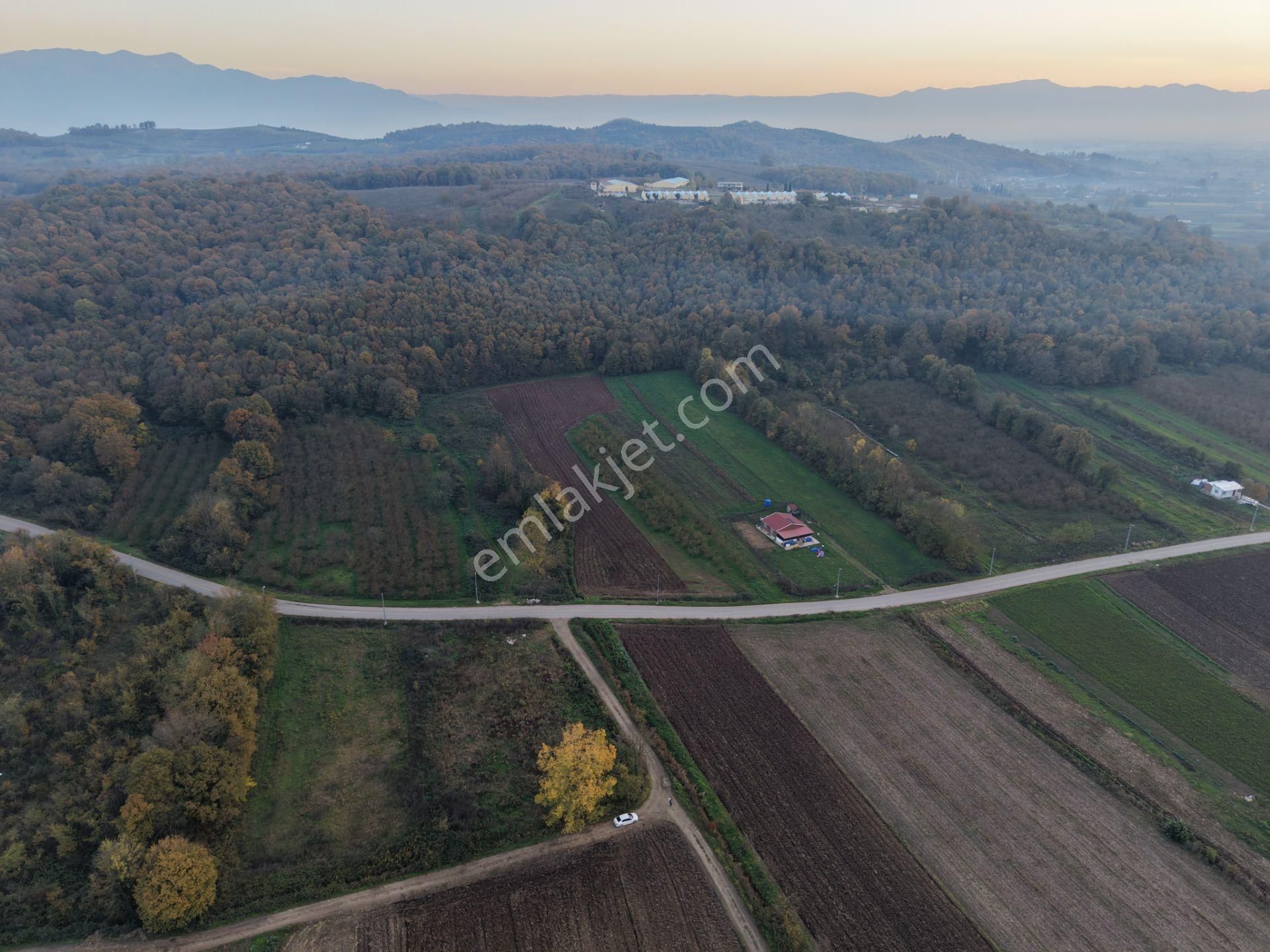 Emlakevim - Yukarı Çalıca Mah. De 2296 M2 Satılık Arsa ! Fırsat - Görsel 29