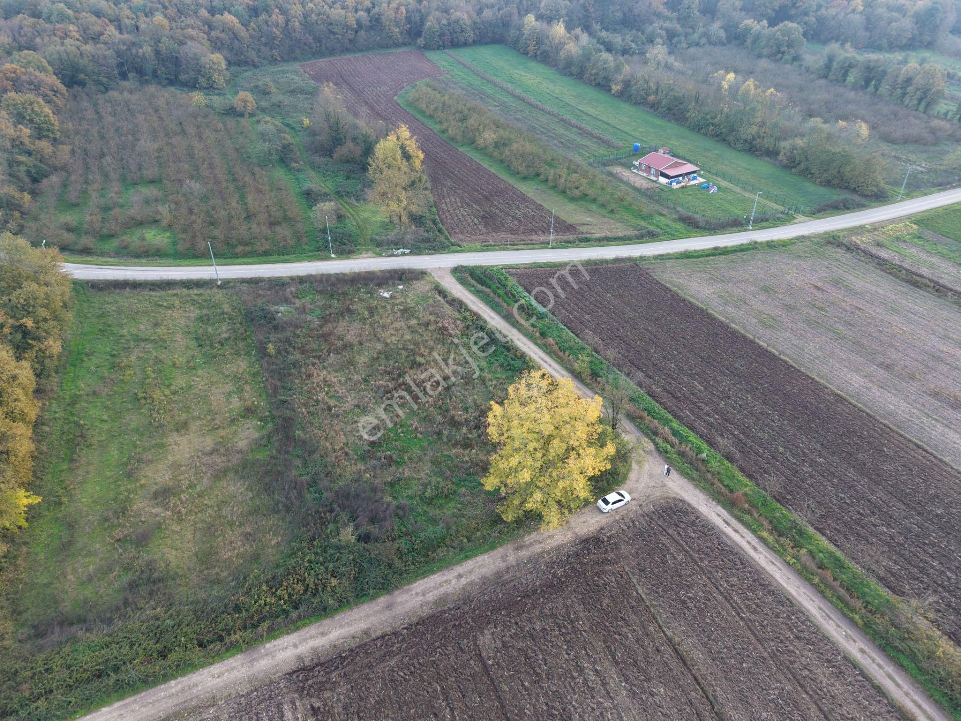 Emlakevim - Yukarı Çalıca Mah. De 2296 M2 Satılık Arsa ! Fırsat - Görsel 25