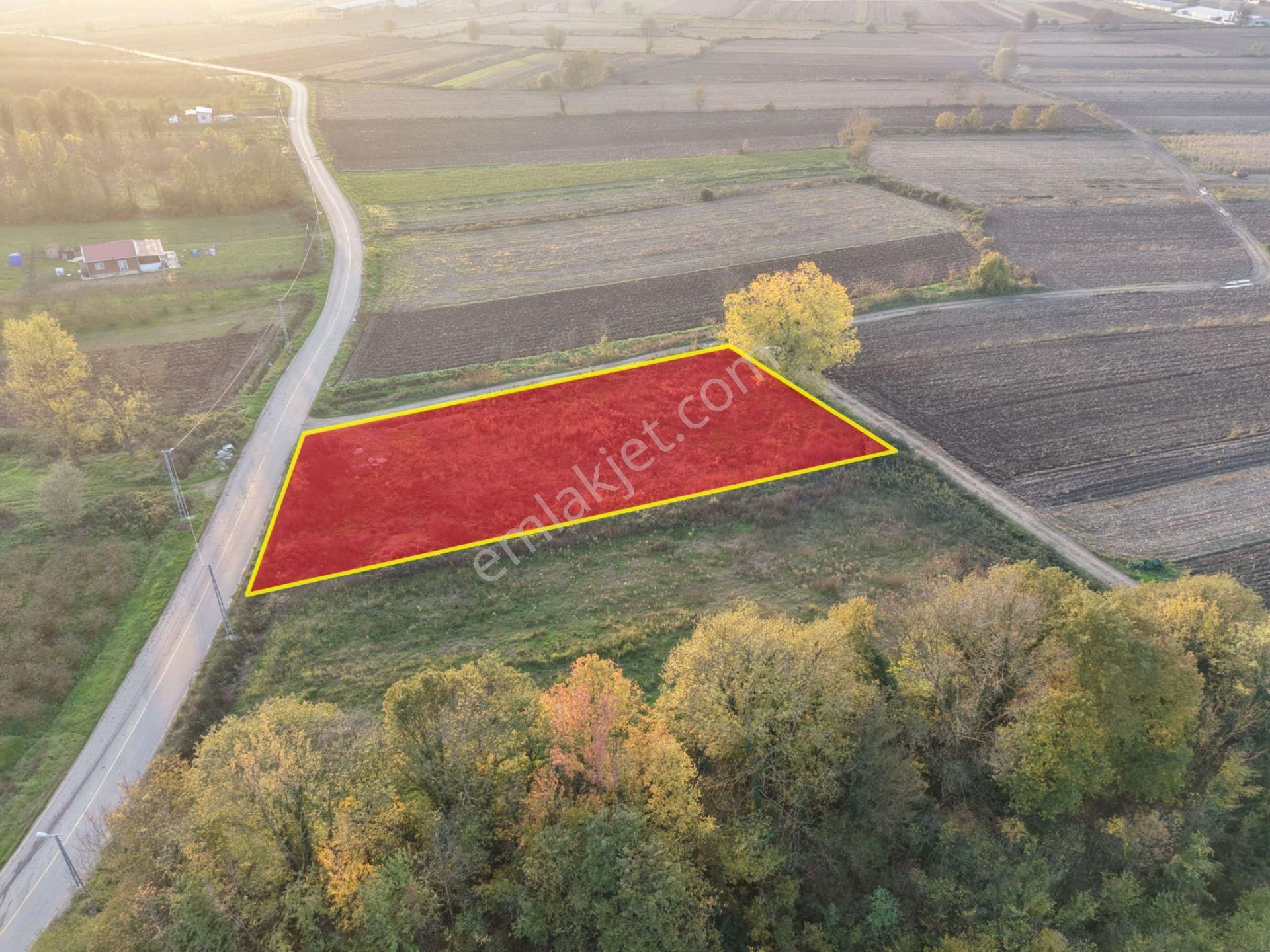 Emlakevim - Yukarı Çalıca Mah. De 2296 M2 Satılık Arsa ! Fırsat - Görsel 15