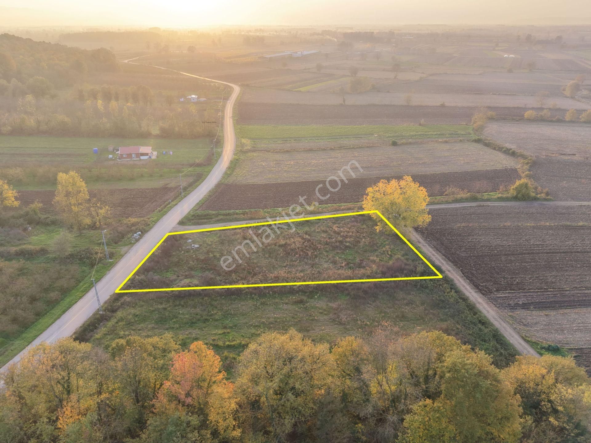 Emlakevim - Yukarı Çalıca Mah. De 2296 M2 Satılık Arsa ! Fırsat - Görsel 16