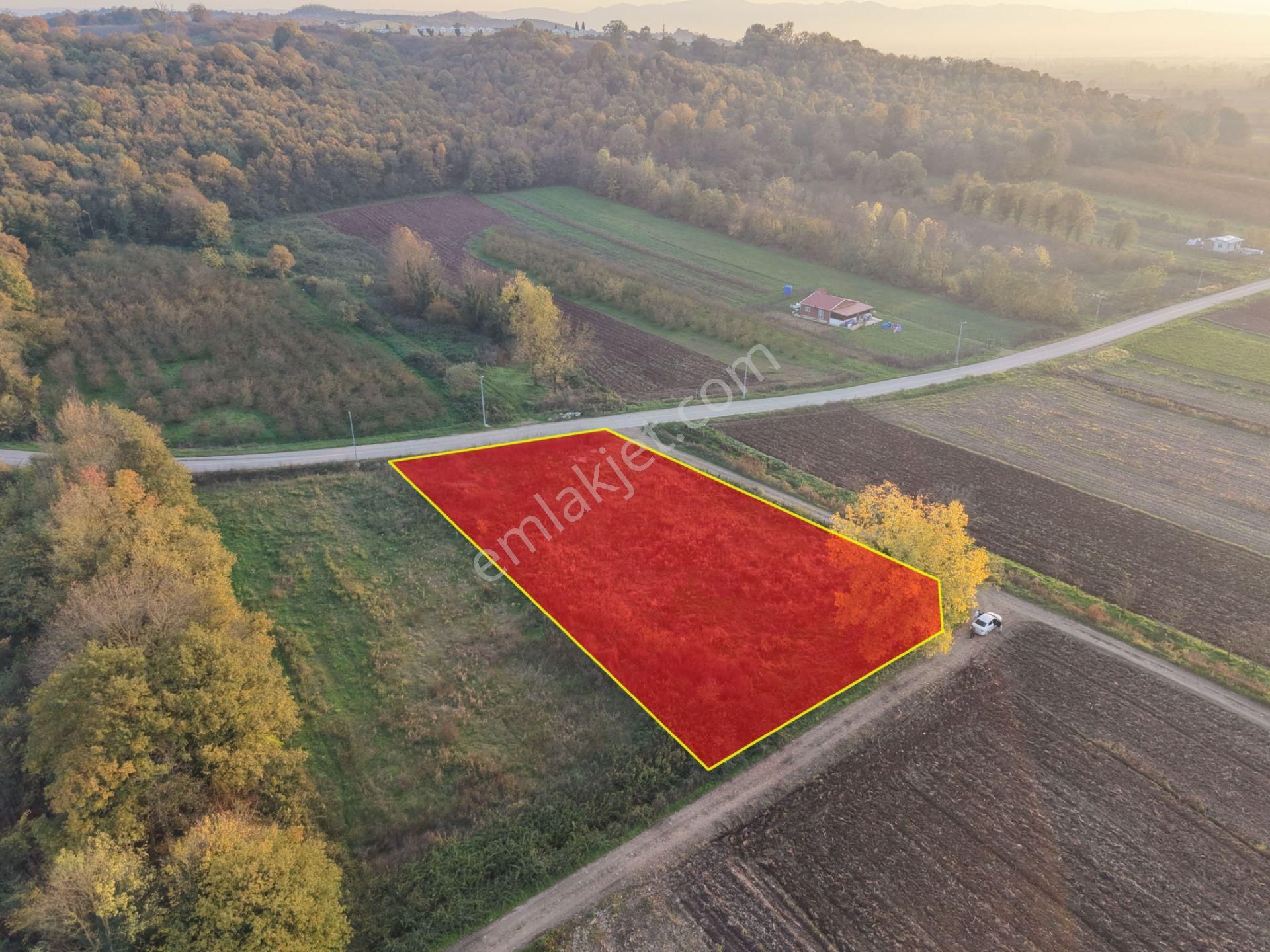 Emlakevim - Yukarı Çalıca Mah. De 2296 M2 Satılık Arsa ! Fırsat - Görsel 19