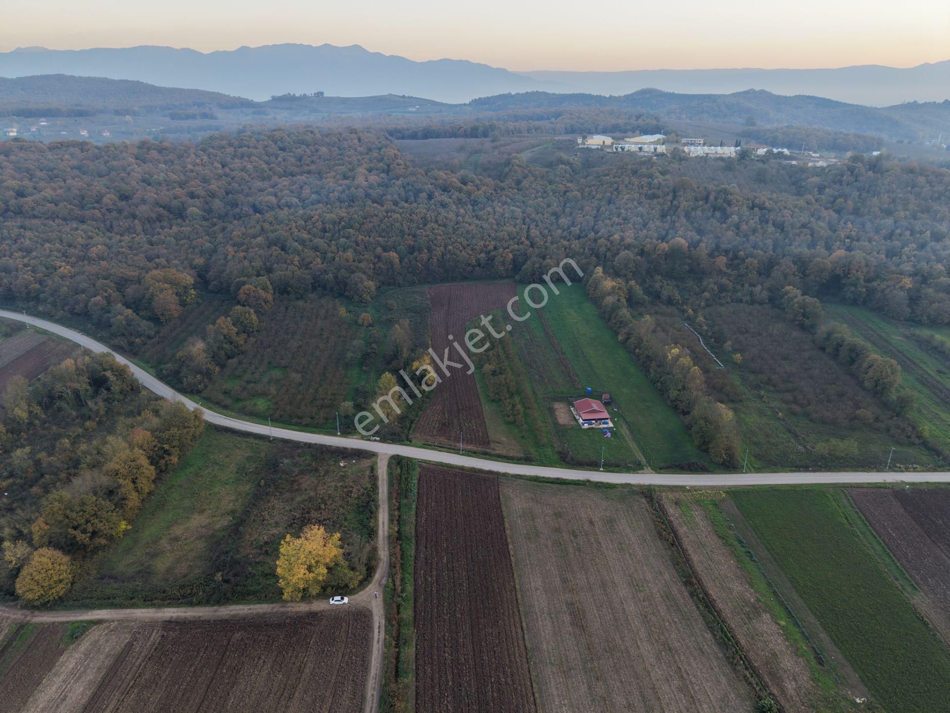 Emlakevim - Yukarı Çalıca Mah. De 2296 M2 Satılık Arsa ! Fırsat - Görsel 30