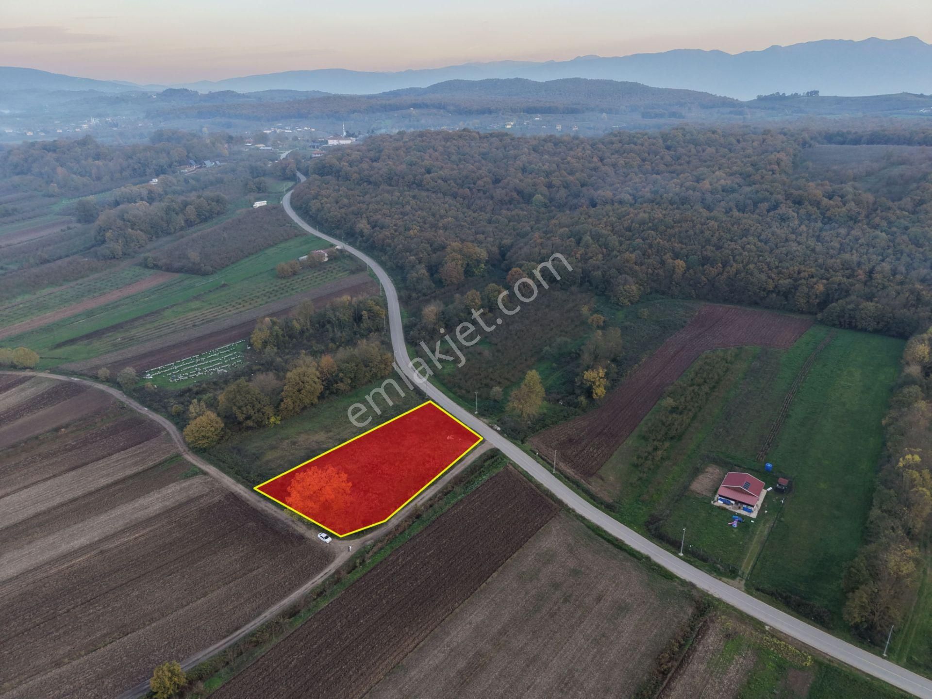 Emlakevim - Yukarı Çalıca Mah. De 2296 M2 Satılık Arsa ! Fırsat - Görsel 32