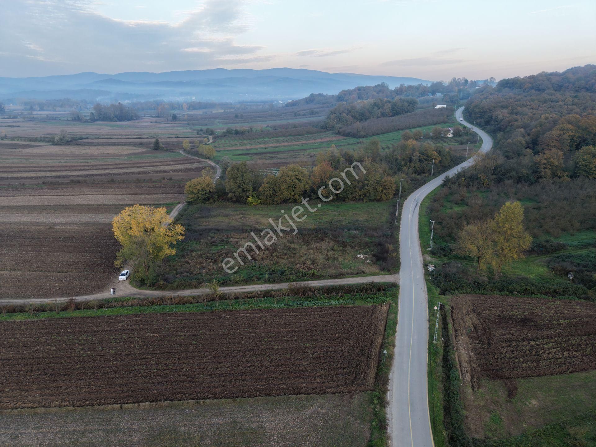 Emlakevim - Yukarı Çalıca Mah. De 2296 M2 Satılık Arsa ! Fırsat - Görsel 23