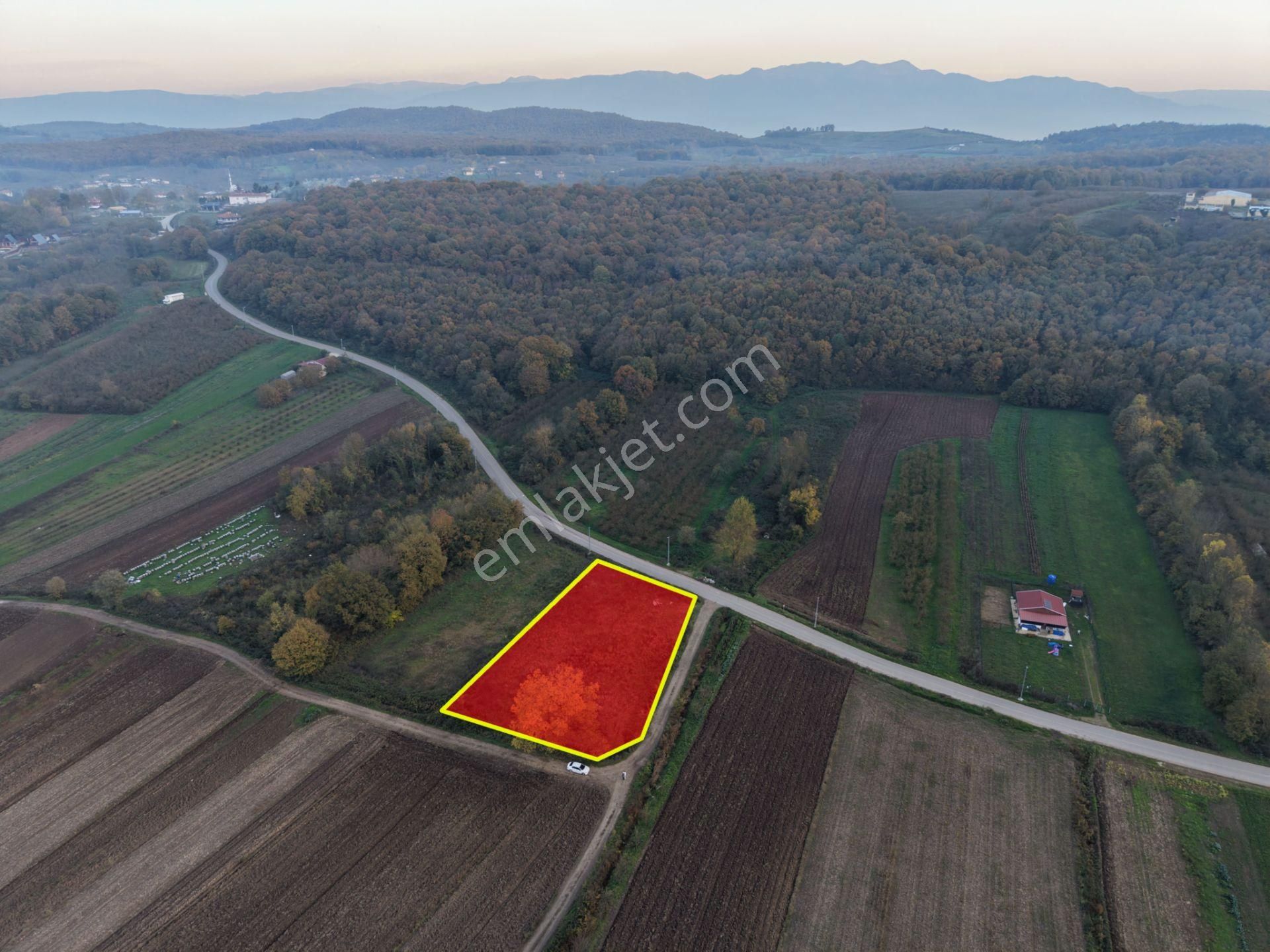 Emlakevim - Yukarı Çalıca Mah. De 2296 M2 Satılık Arsa ! Fırsat - Görsel 31