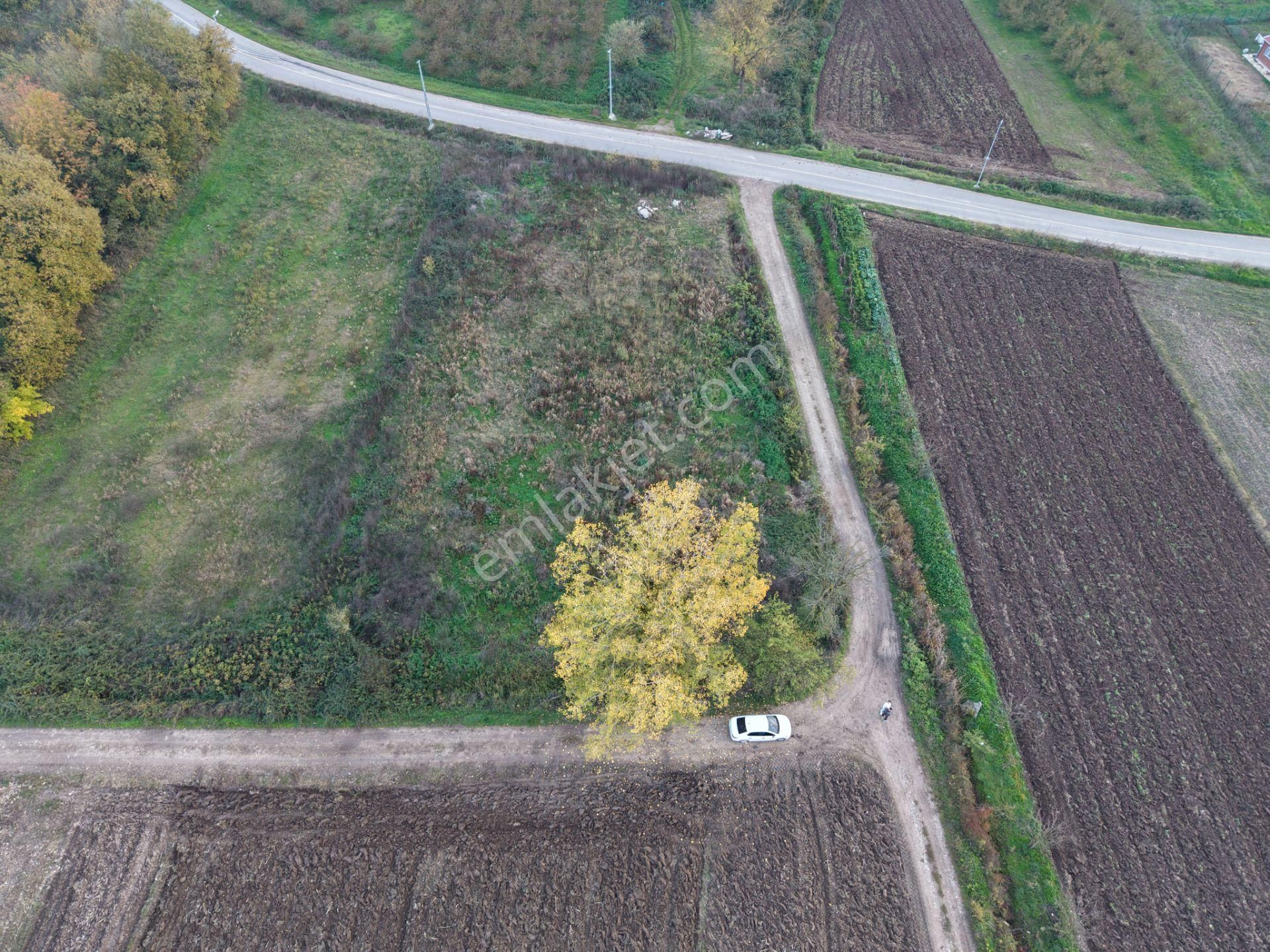 Emlakevim - Yukarı Çalıca Mah. De 2296 M2 Satılık Arsa ! Fırsat - Görsel 27