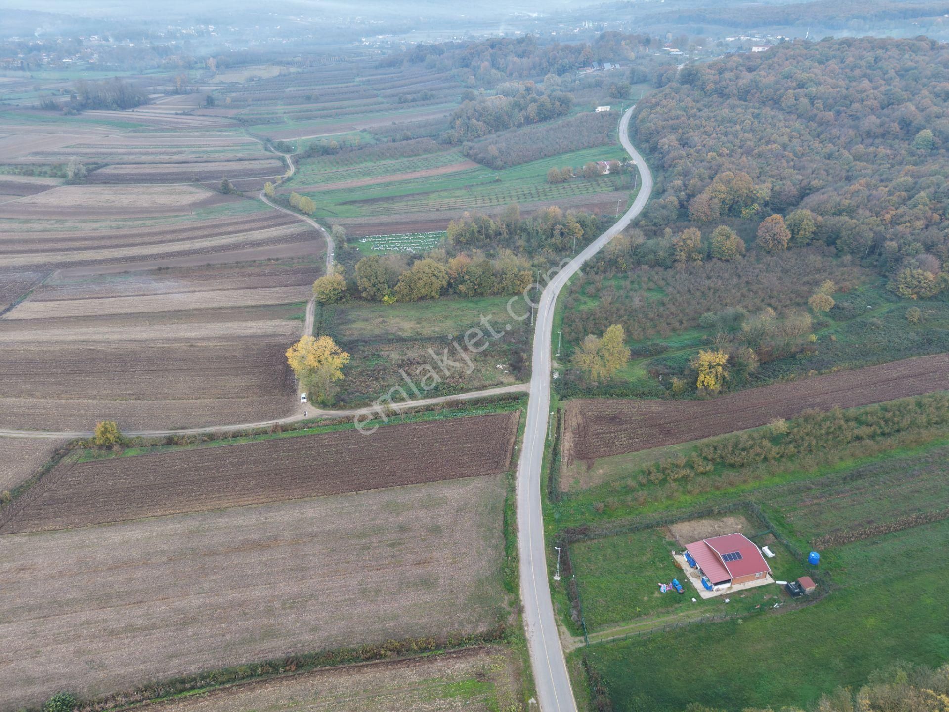 Emlakevim - Yukarı Çalıca Mah. De 2296 M2 Satılık Arsa ! Fırsat - Görsel 34