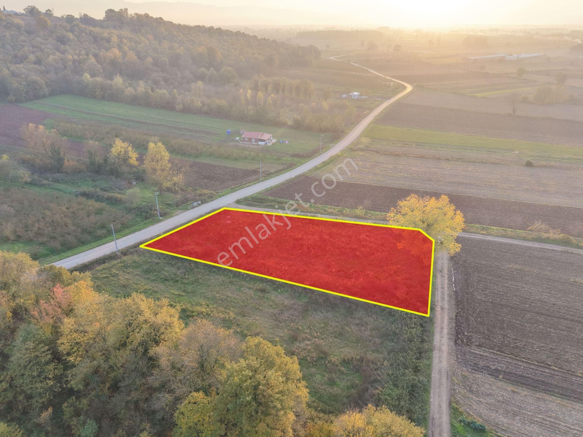 Emlakevim - Yukarı Çalıca Mah. De 2296 M2 Satılık Arsa ! Fırsat - Görsel 17