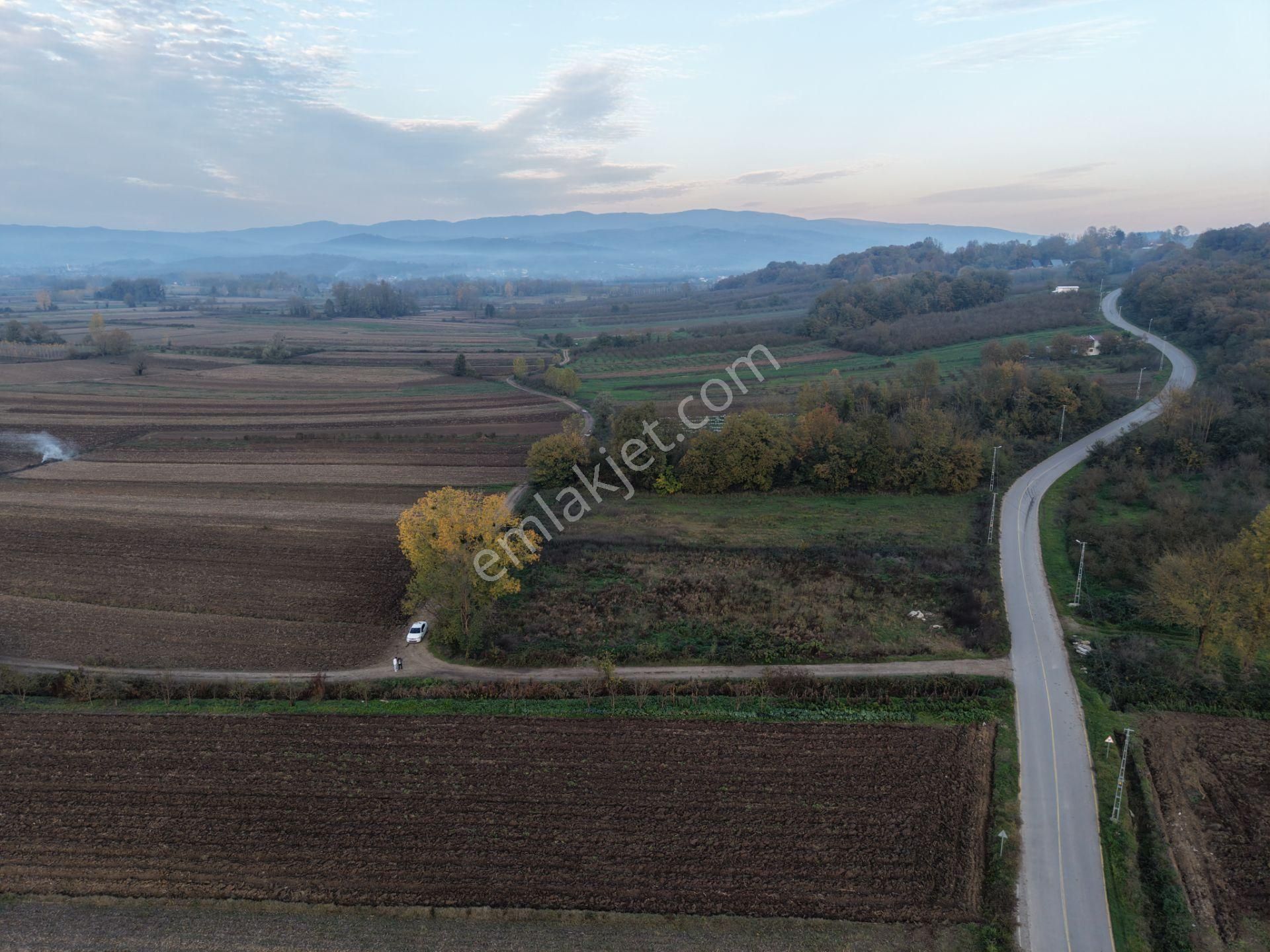 Emlakevim - Yukarı Çalıca Mah. De 2296 M2 Satılık Arsa ! Fırsat - Görsel 22