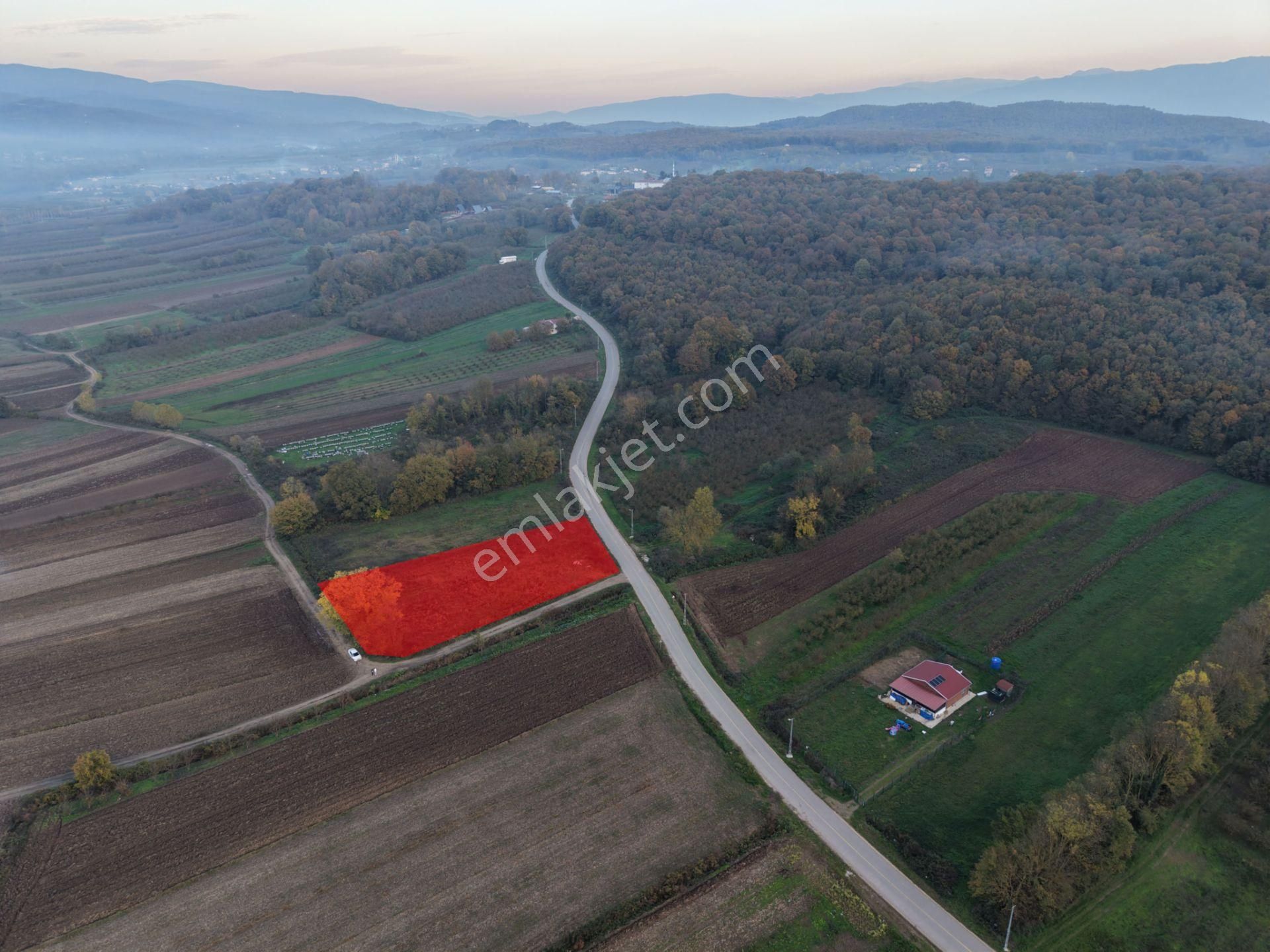 Emlakevim - Yukarı Çalıca Mah. De 2296 M2 Satılık Arsa ! Fırsat - Görsel 33