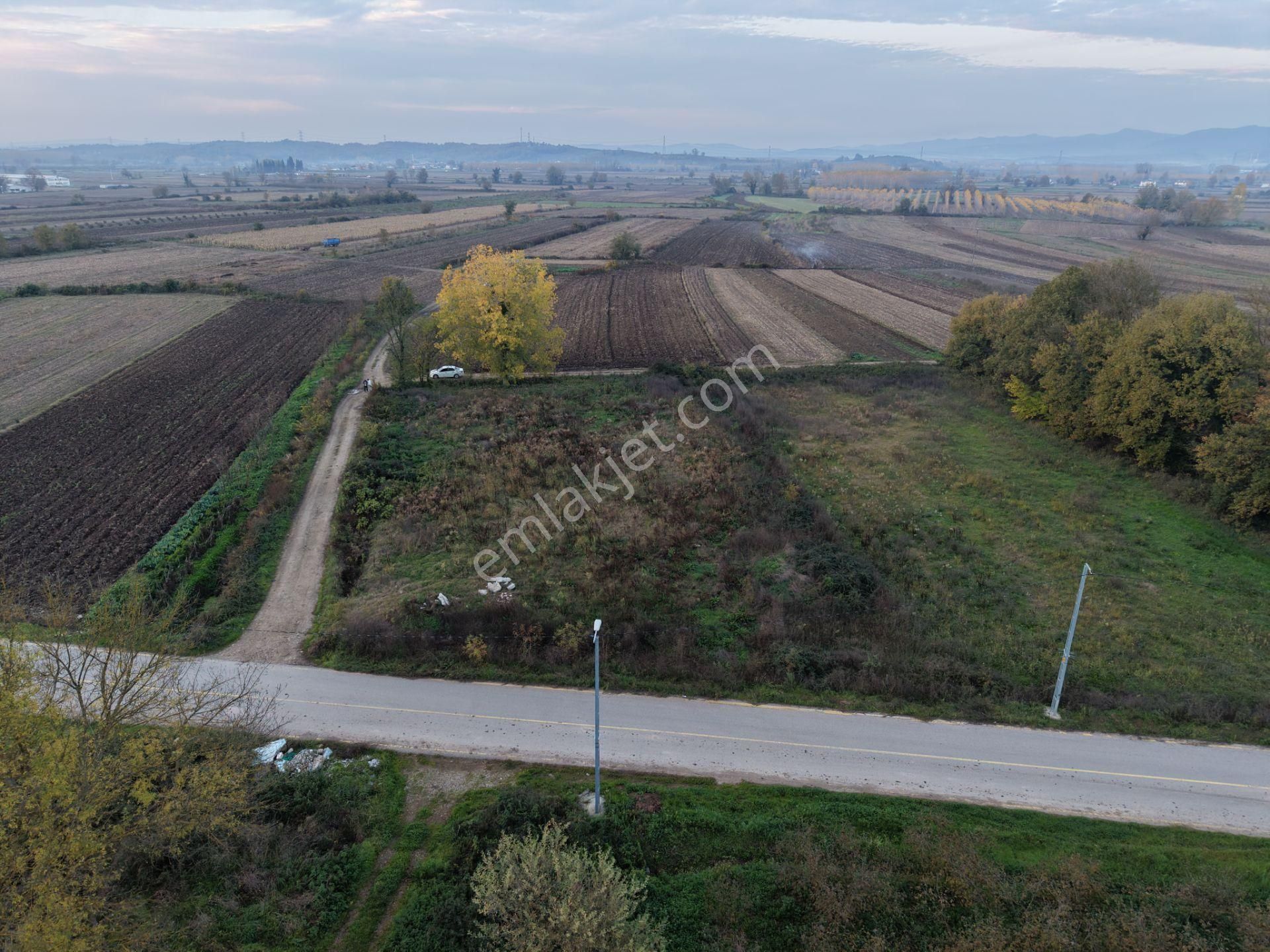 Emlakevim - Yukarı Çalıca Mah. De 2296 M2 Satılık Arsa ! Fırsat - Görsel 35