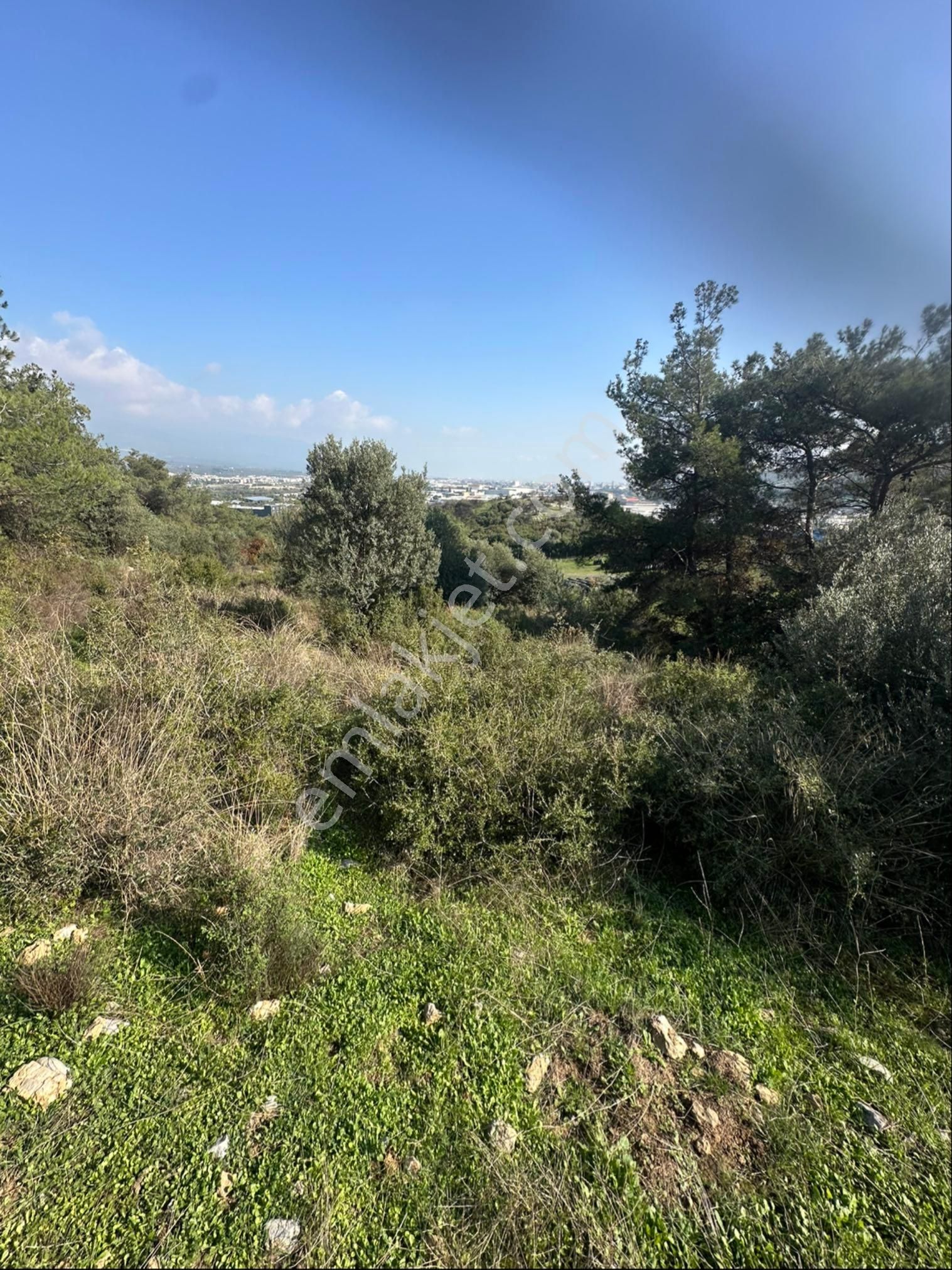 İzmir Bornova Kavaklı Dere Mh. De Arsa