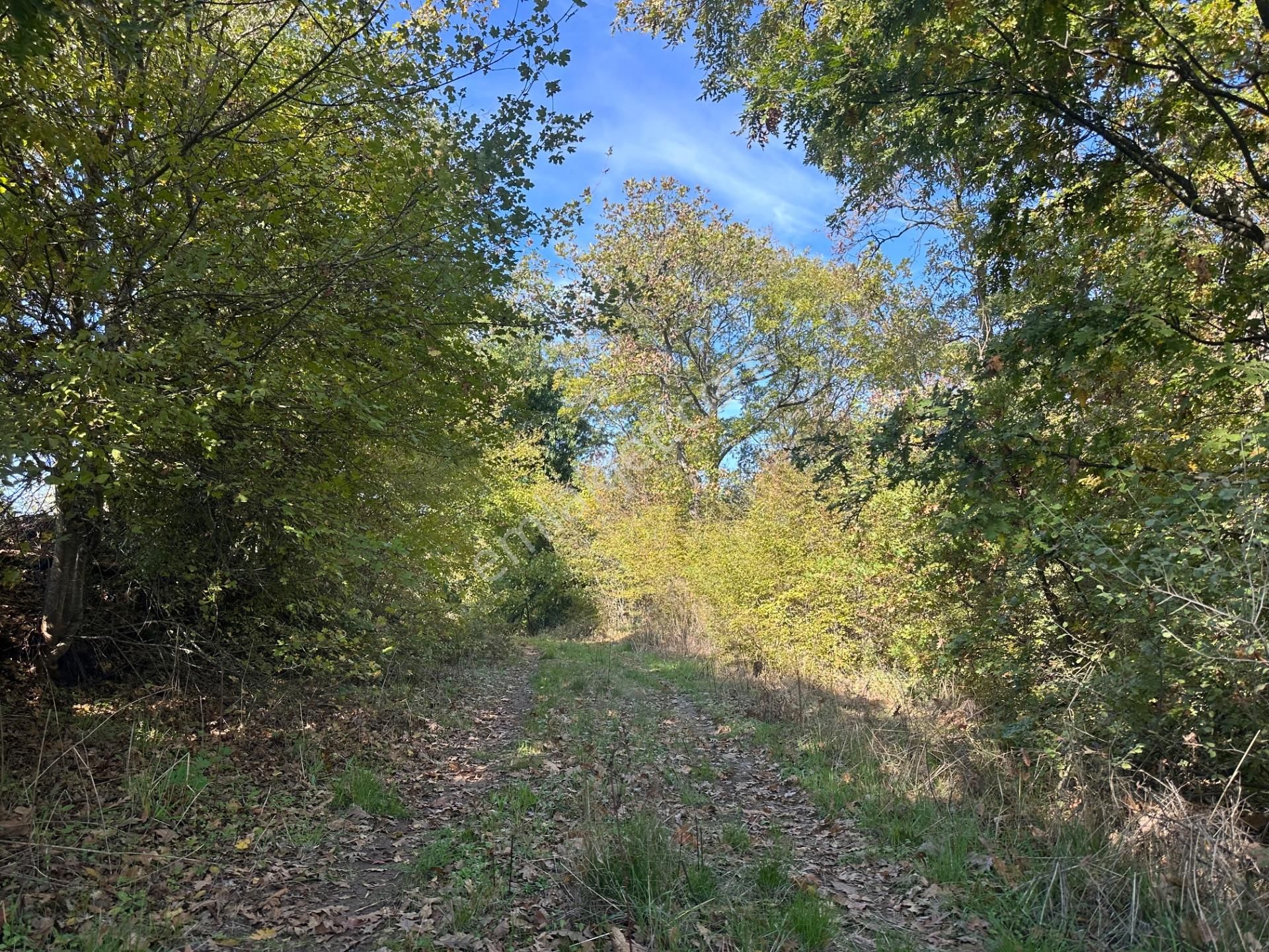 Altıkulaç Köyünde Fırsat Fiyat Ve Konumda 10.368 M2 Arazi!!! - Görsel 17