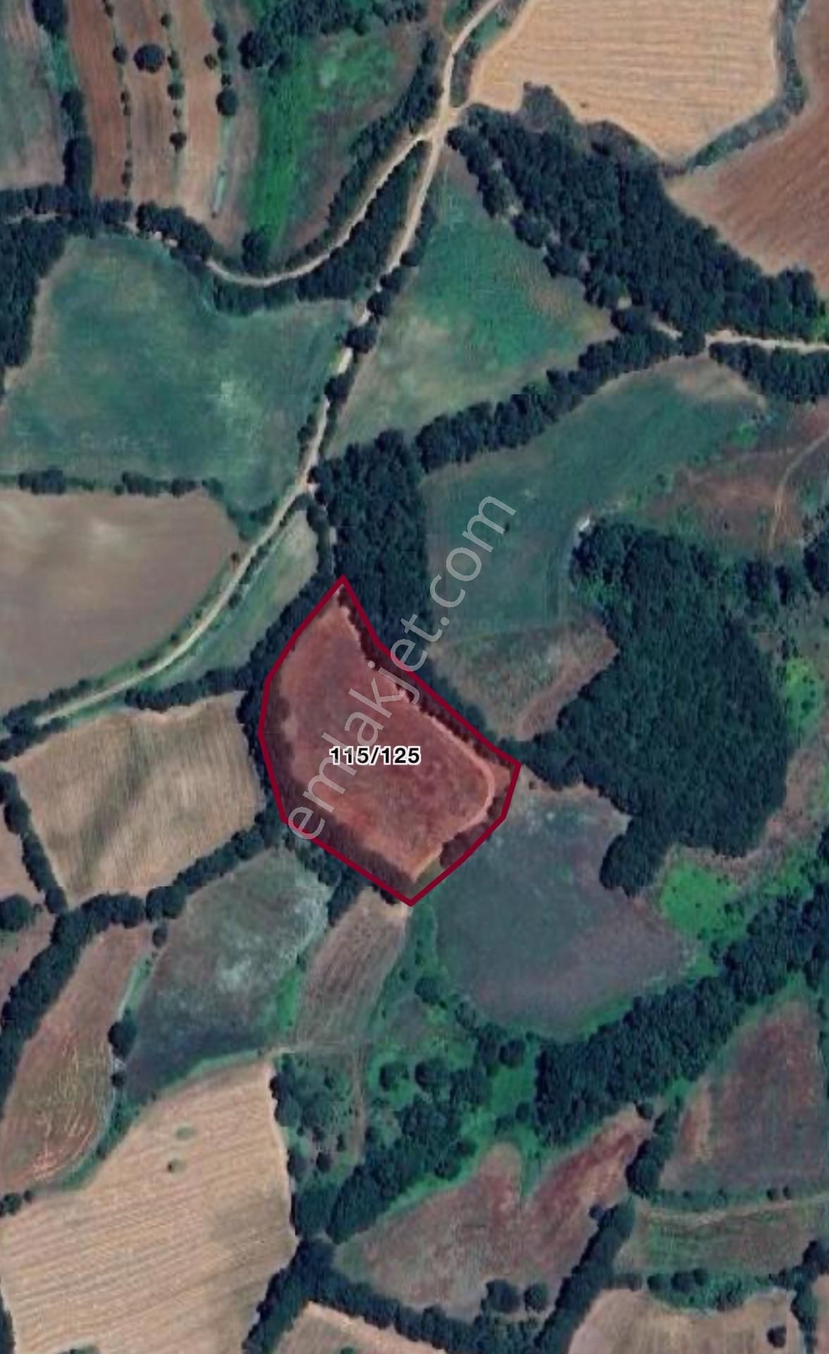 Altıkulaç Köyünde Fırsat Fiyat Ve Konumda 10.368 M2 Arazi!!! - Görsel 16