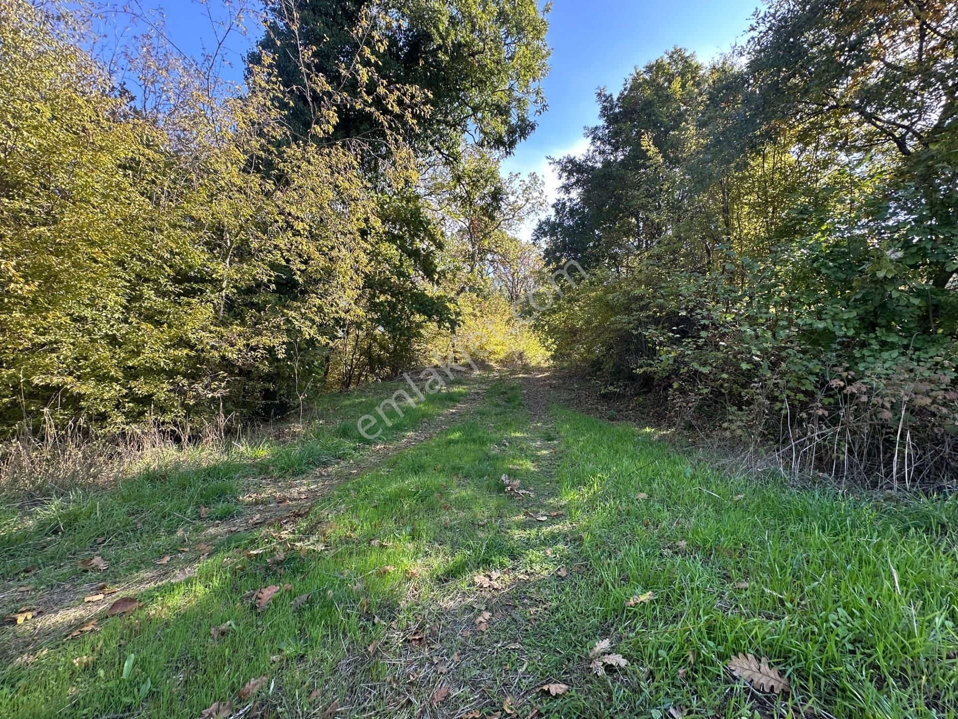 Altıkulaç Köyünde Fırsat Fiyat Ve Konumda 10.368 M2 Arazi!!! - Görsel 19