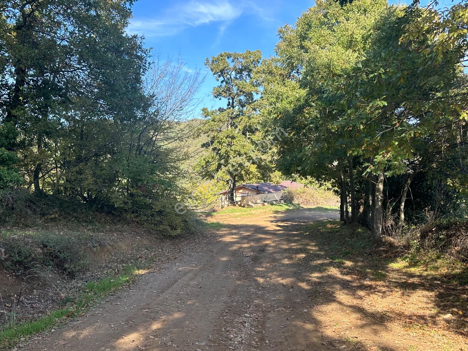 Altıkulaç Köyünde Fırsat Fiyat Ve Konumda 10.368 M2 Arazi!!! - Görsel 22