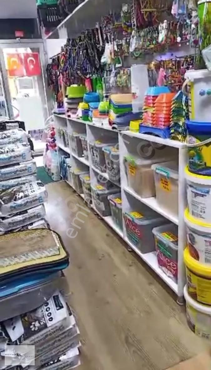 Boyut Global'çarşı Merkez Cd.üzerinde Yüksek Cirolu Petshop - Görsel 4