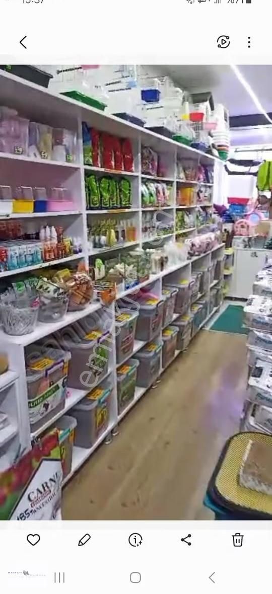 Boyut Global'çarşı Merkez Cd.üzerinde Yüksek Cirolu Petshop - Görsel 5