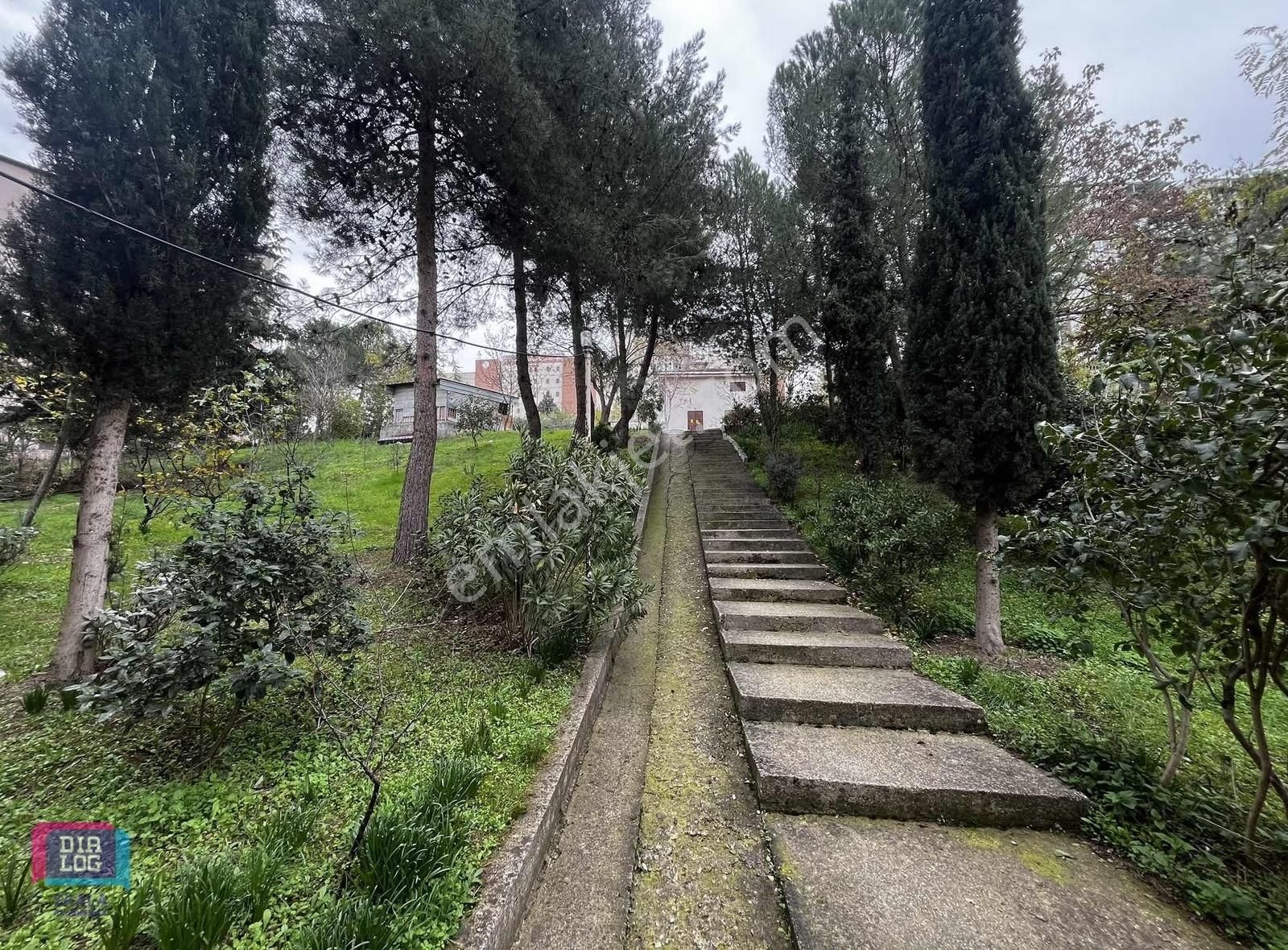 Dialog Skala/ Göçmen Konutları 2+1 Kiralık Daire - Görsel 5