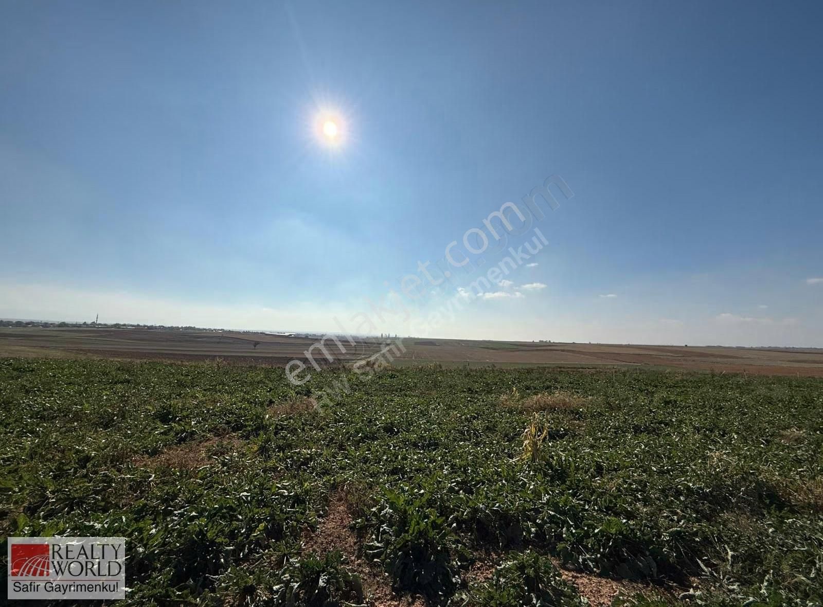 Afyon Evciler'de Ges-hayvancılık-tarıma Uygun 54 Dönüm Arazi - Görsel 6