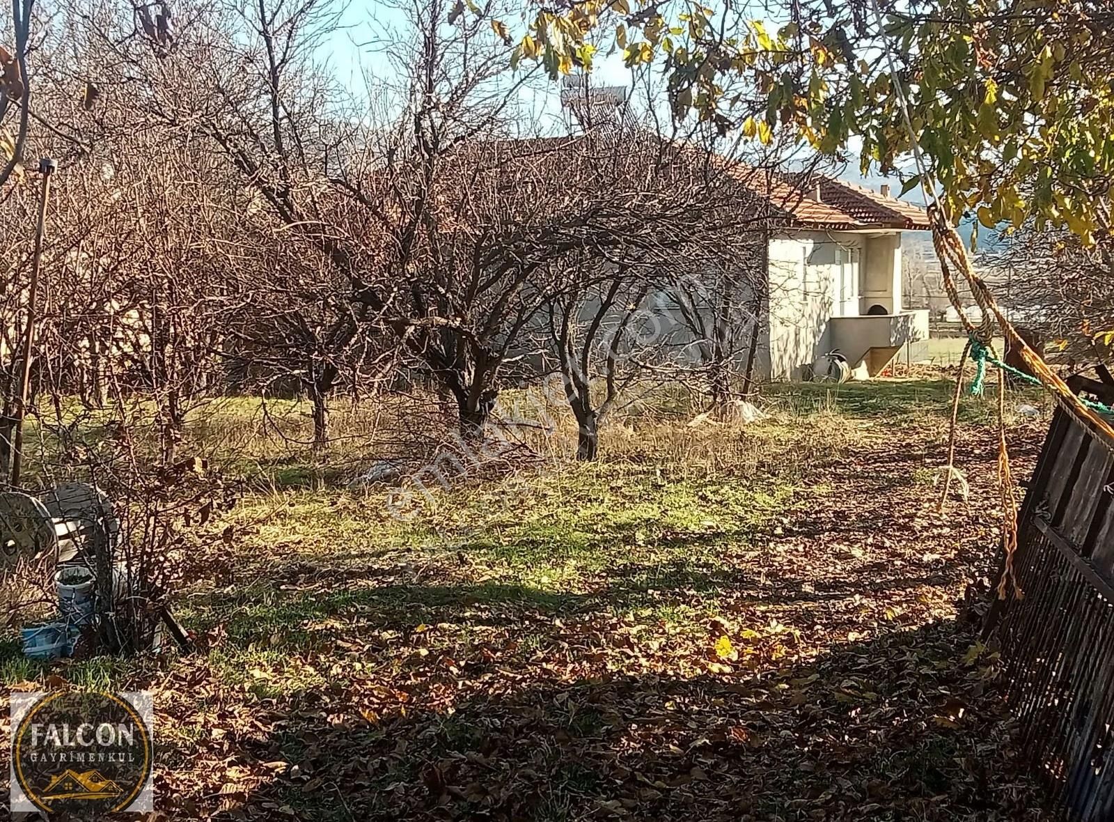 Falcon Dan Yaylaların Yaylası Bekciler De 3706m² Fırsat Arsa - Görsel 19