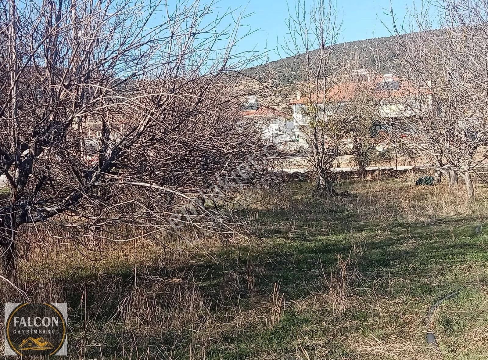 Falcon Dan Yaylaların Yaylası Bekciler De 3706m² Fırsat Arsa - Görsel 6